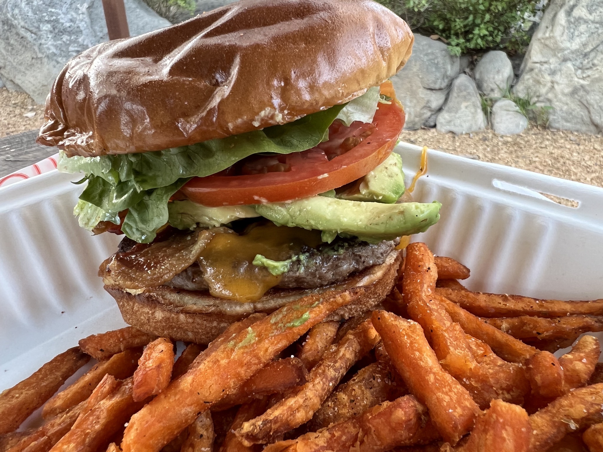 Burger and sweet potato fries
