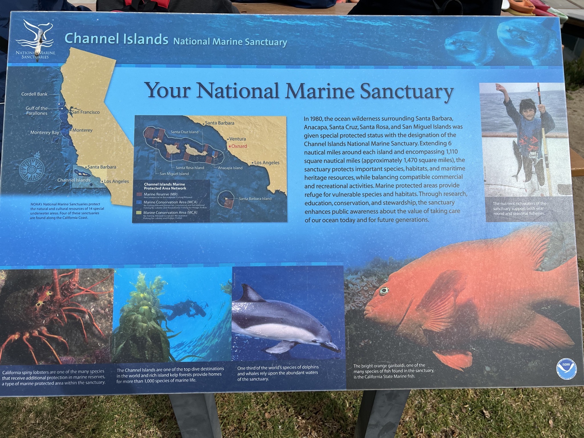 Info sign