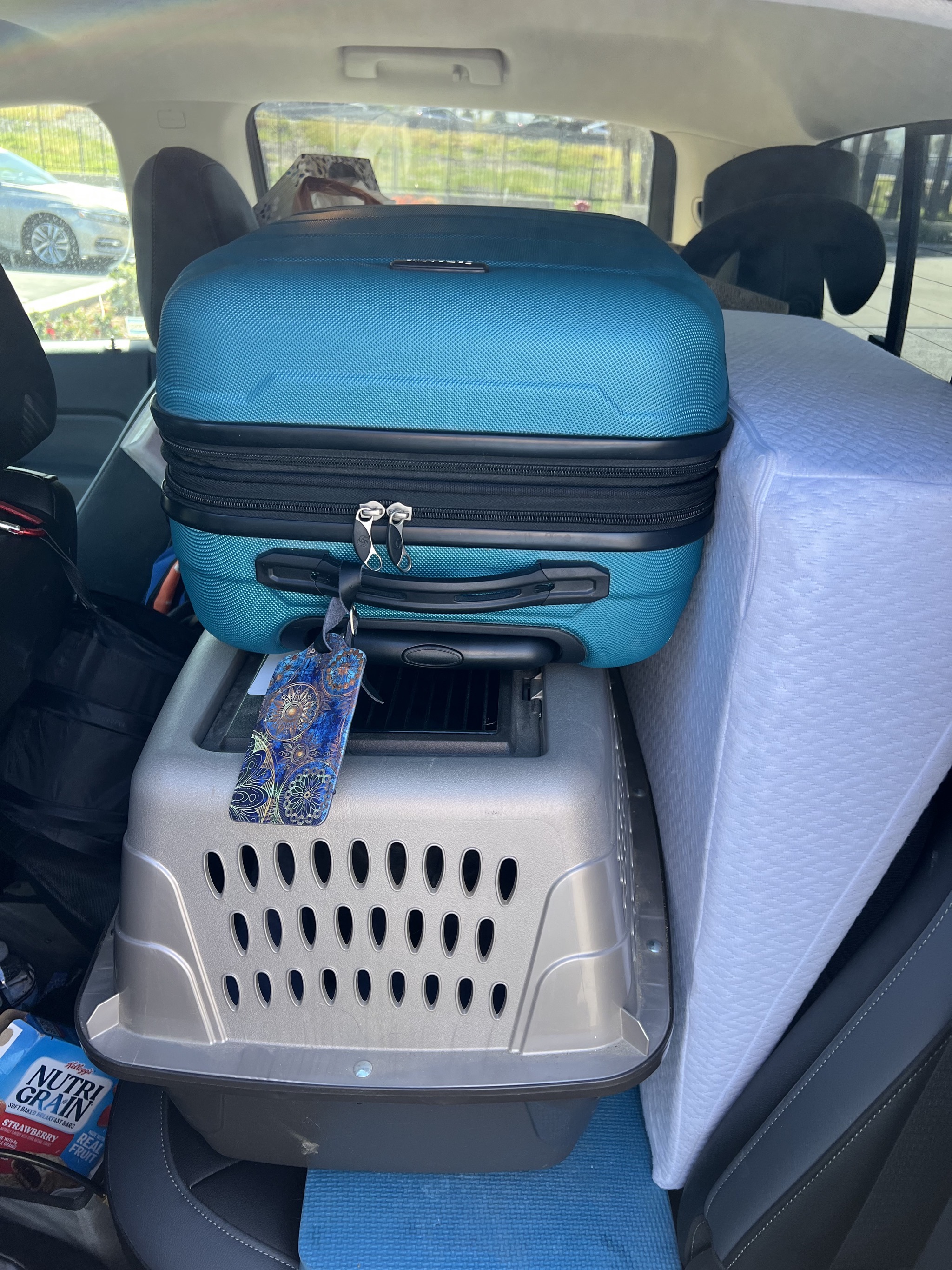 Suitcase and cat carrier in truck