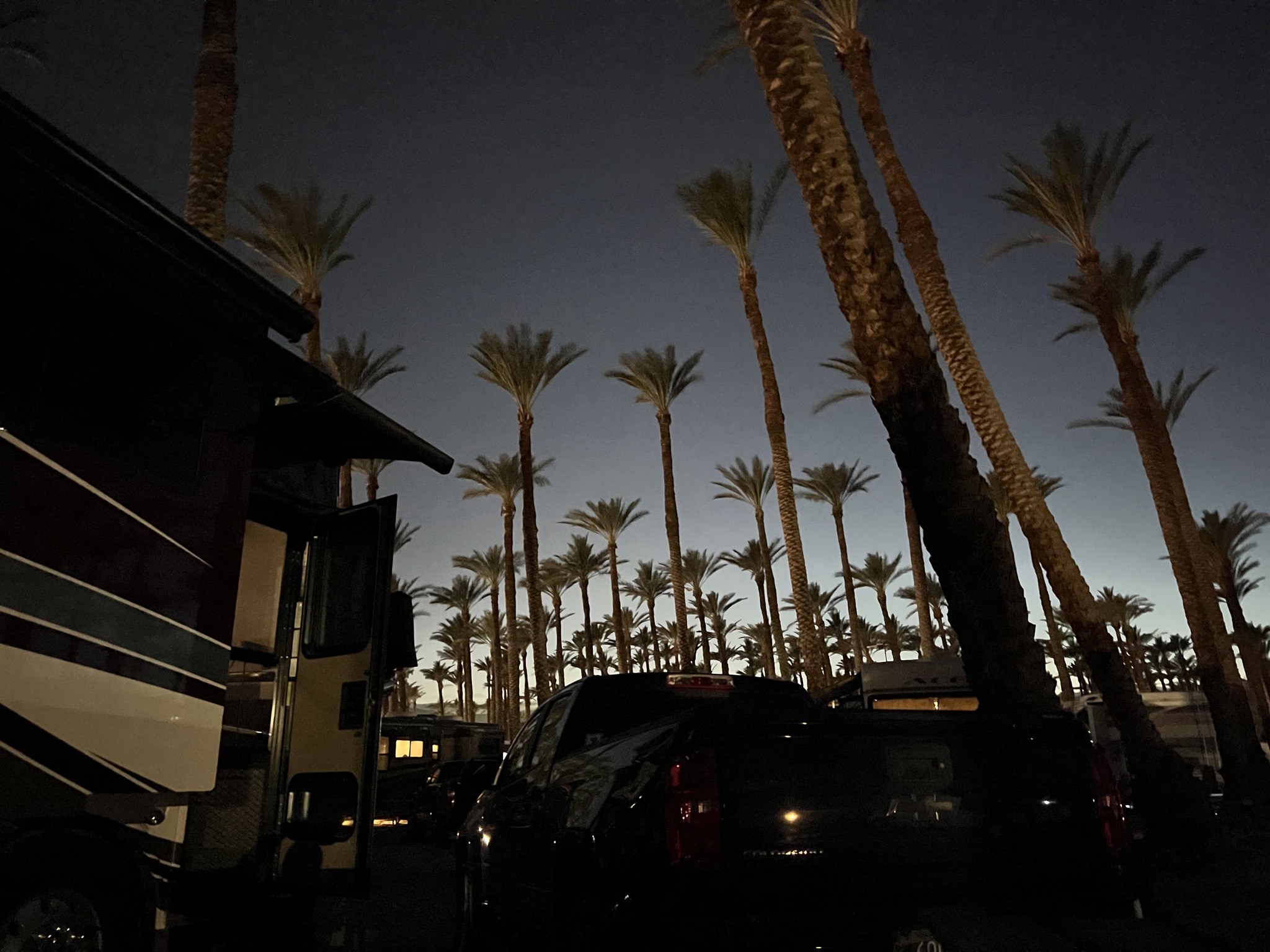 Night shot