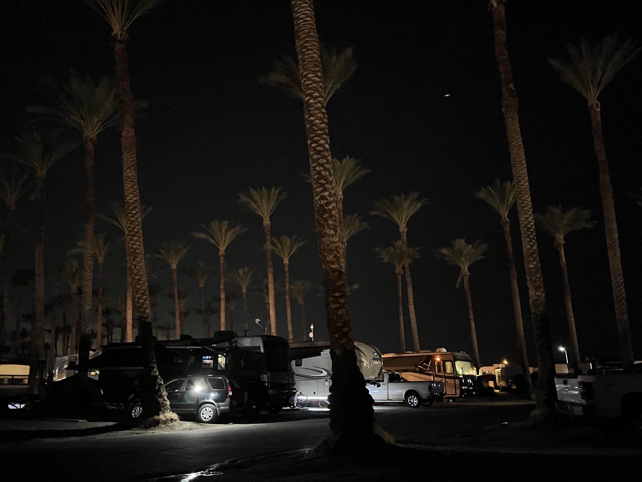 Night shot