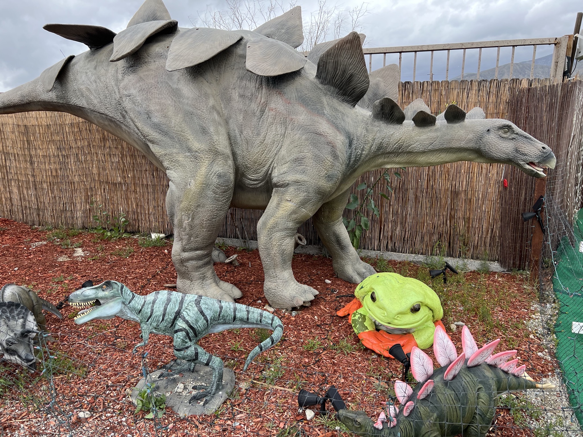 Dinosaurs