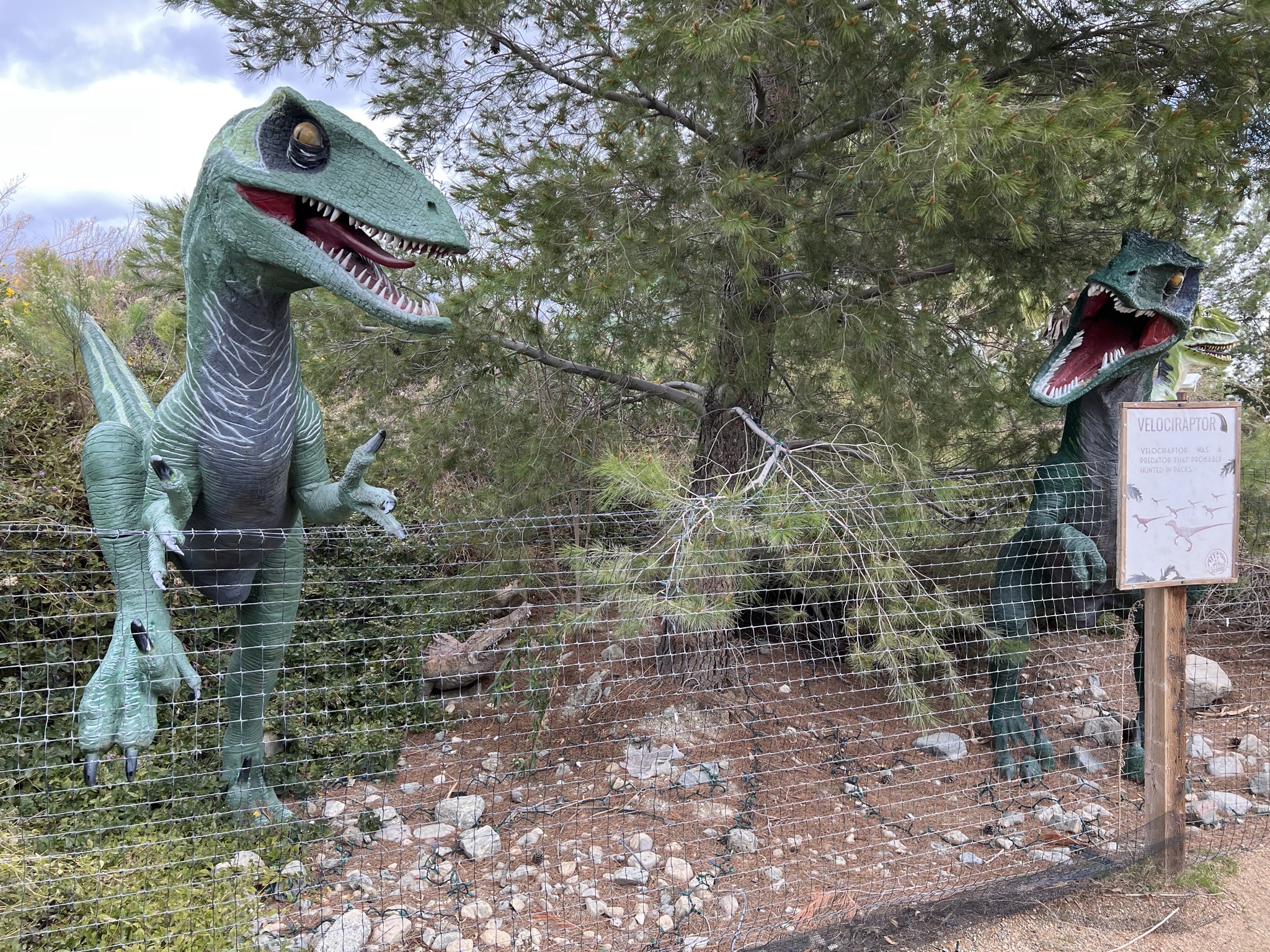 Dinosaurs