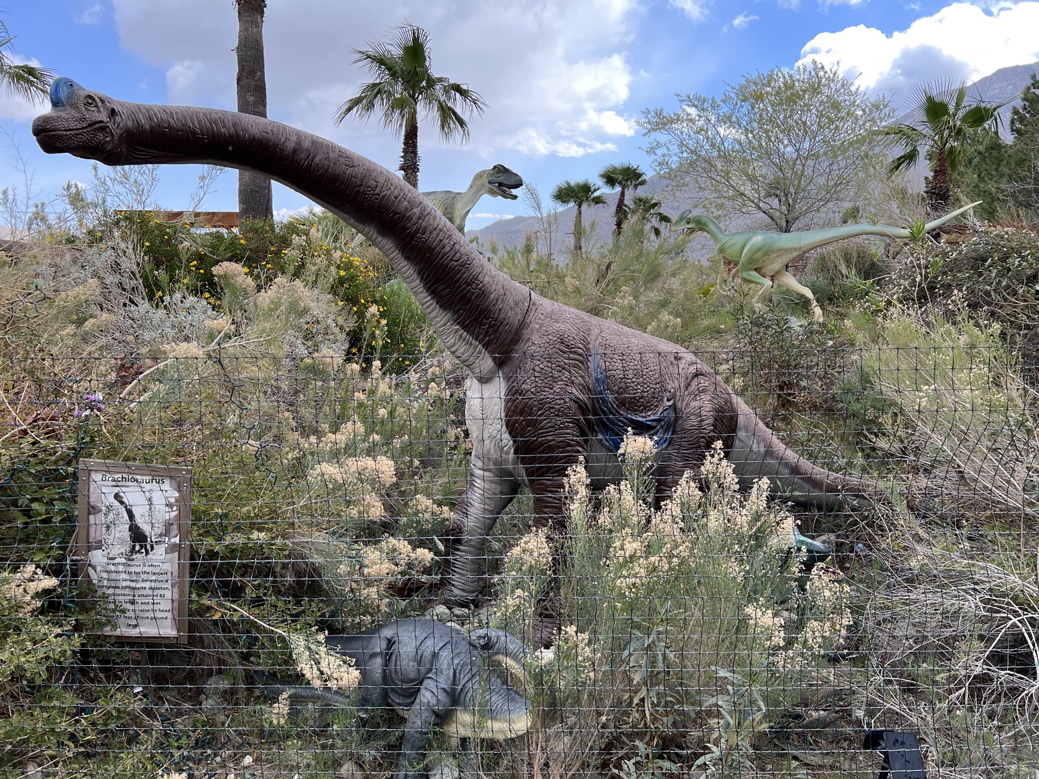 Dinosaurs