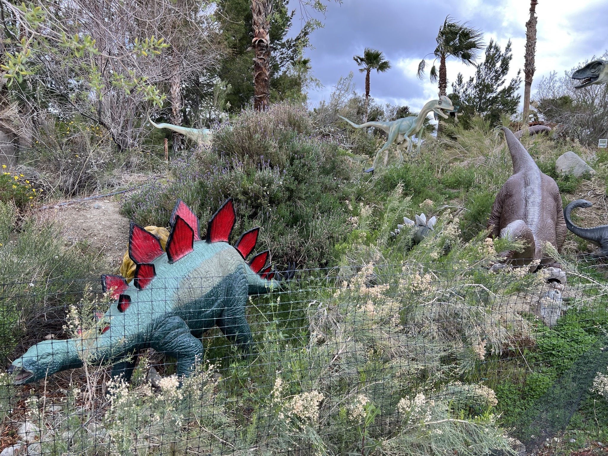 Dinosaurs