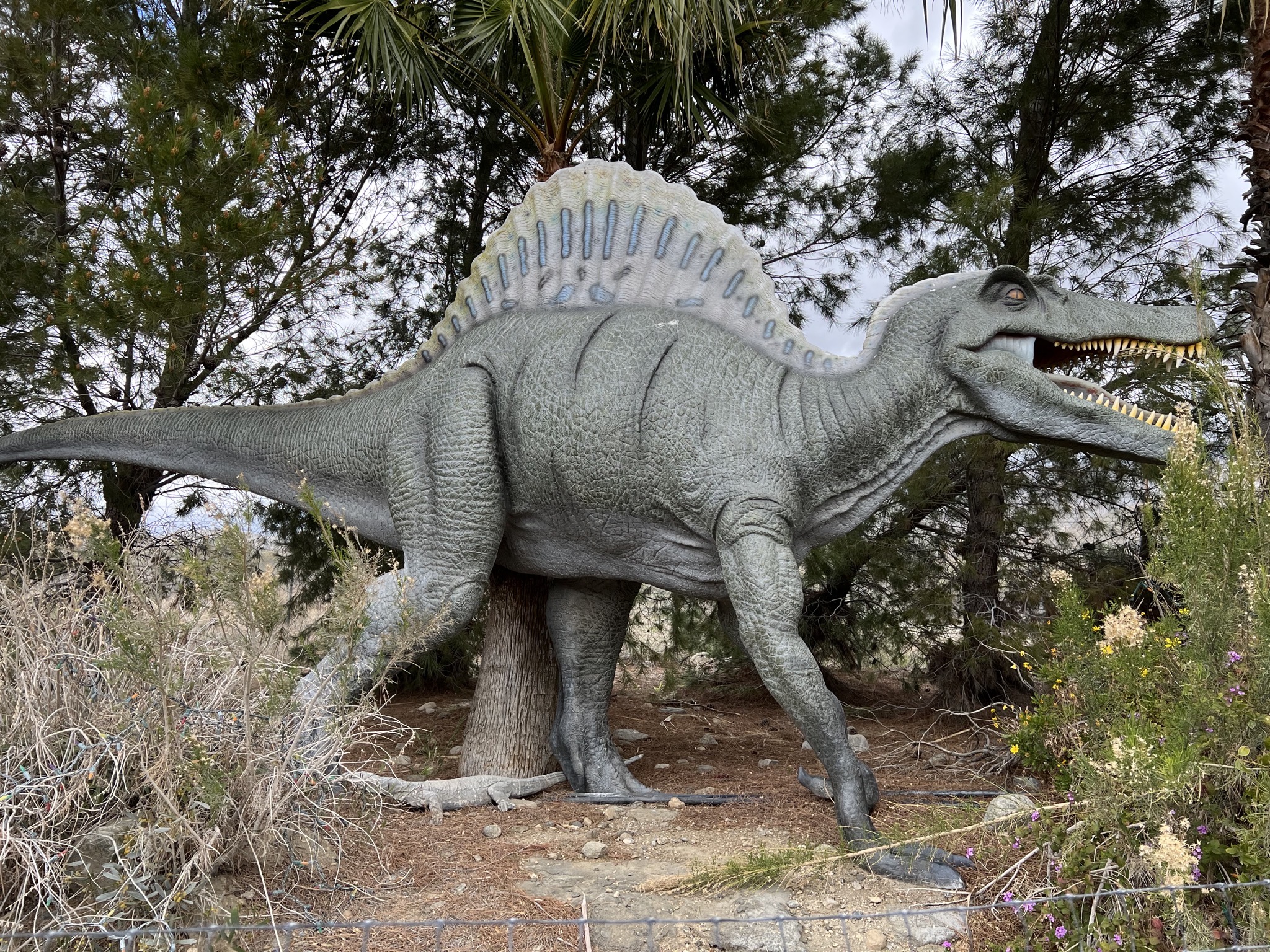 Dinosaurs