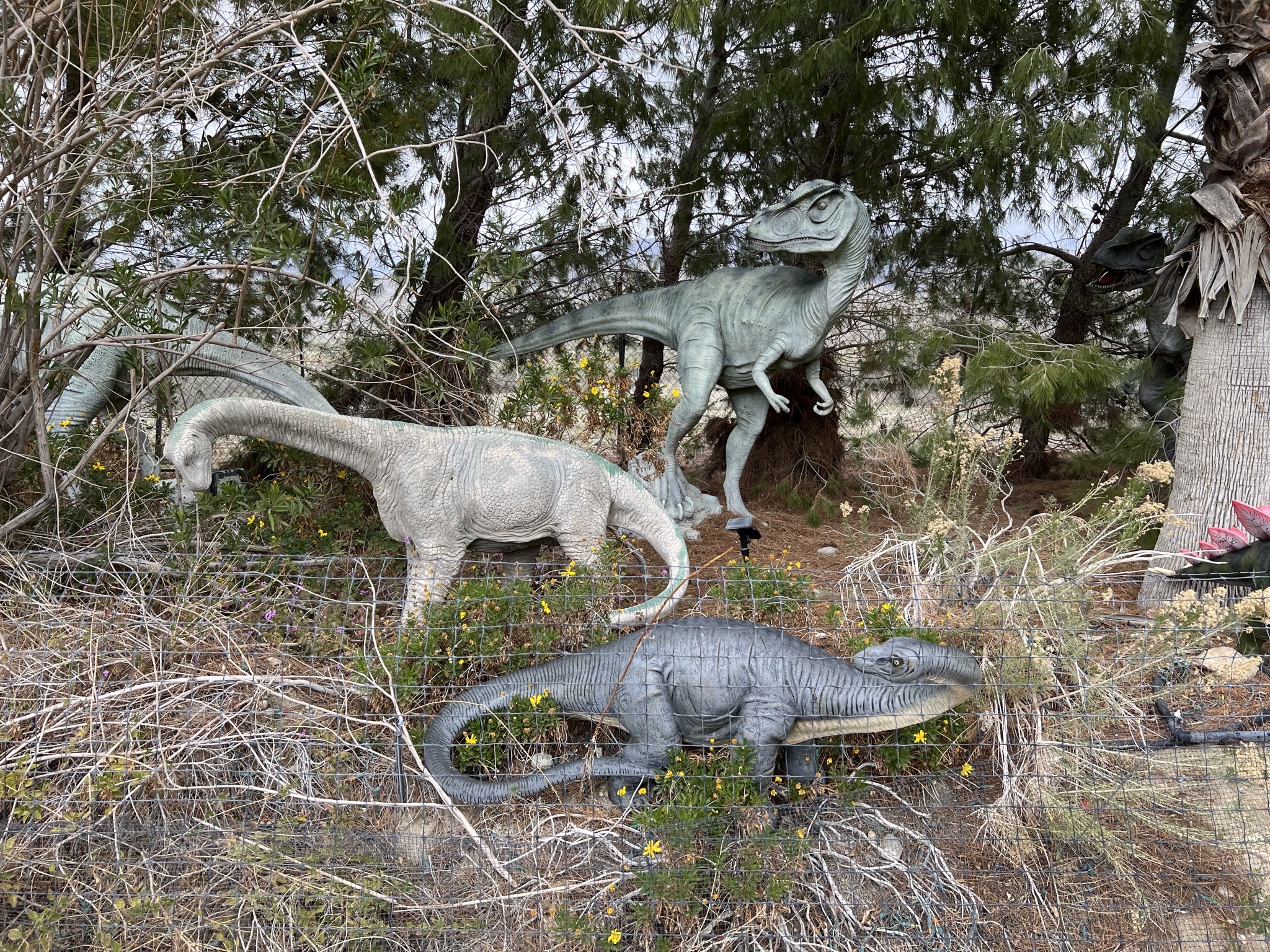 Dinosaurs