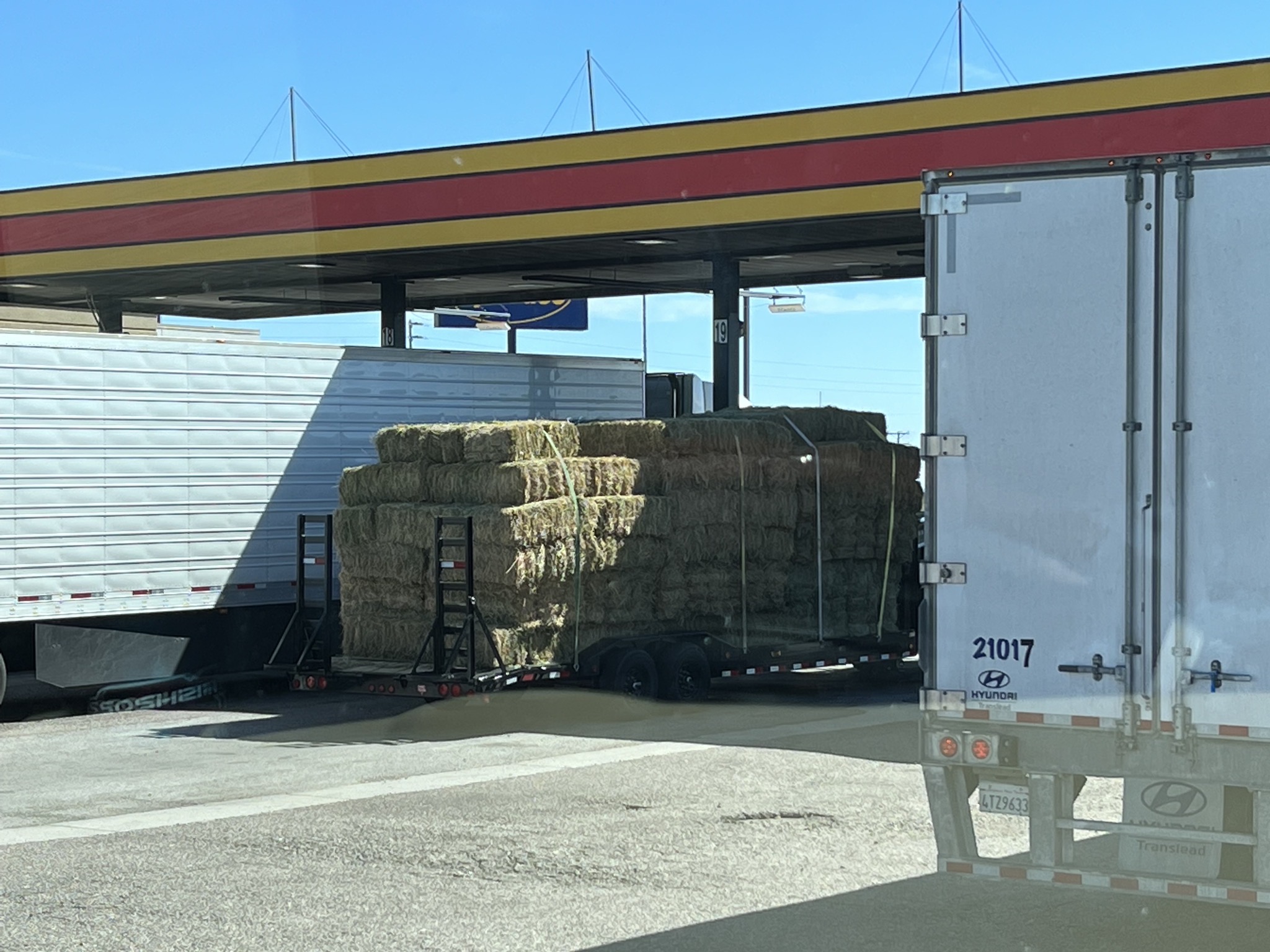 Hay