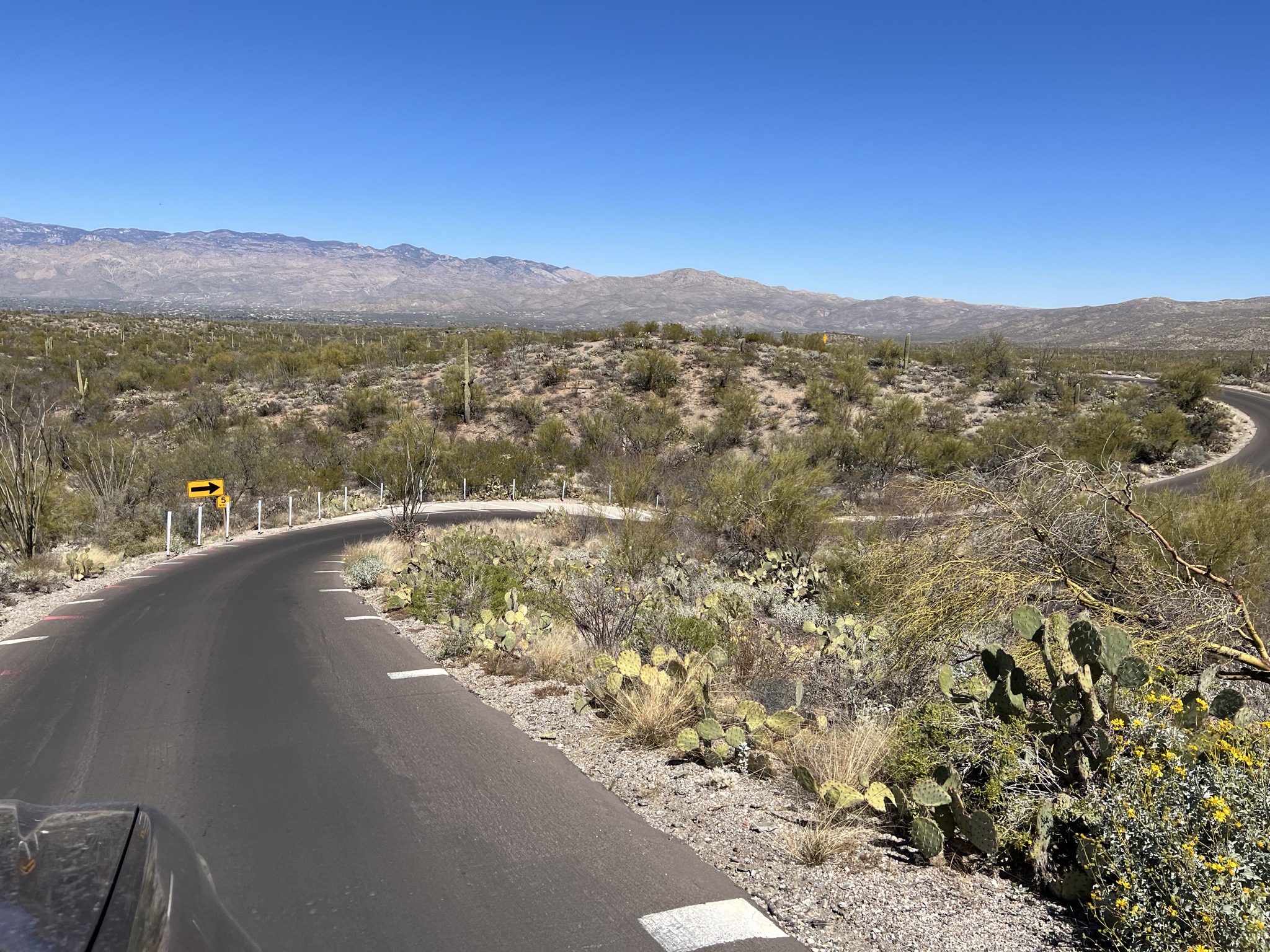 Curvy road