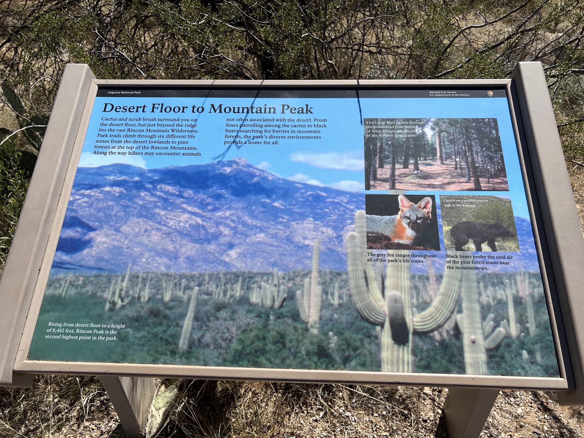 Info sign