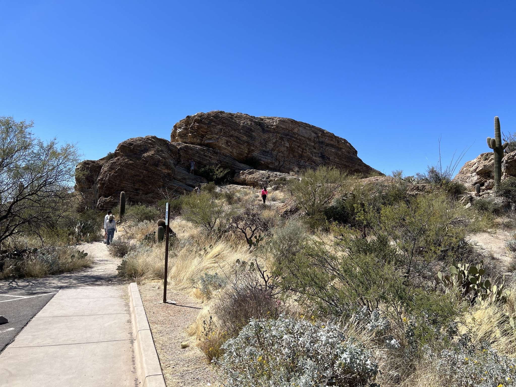 Rocks