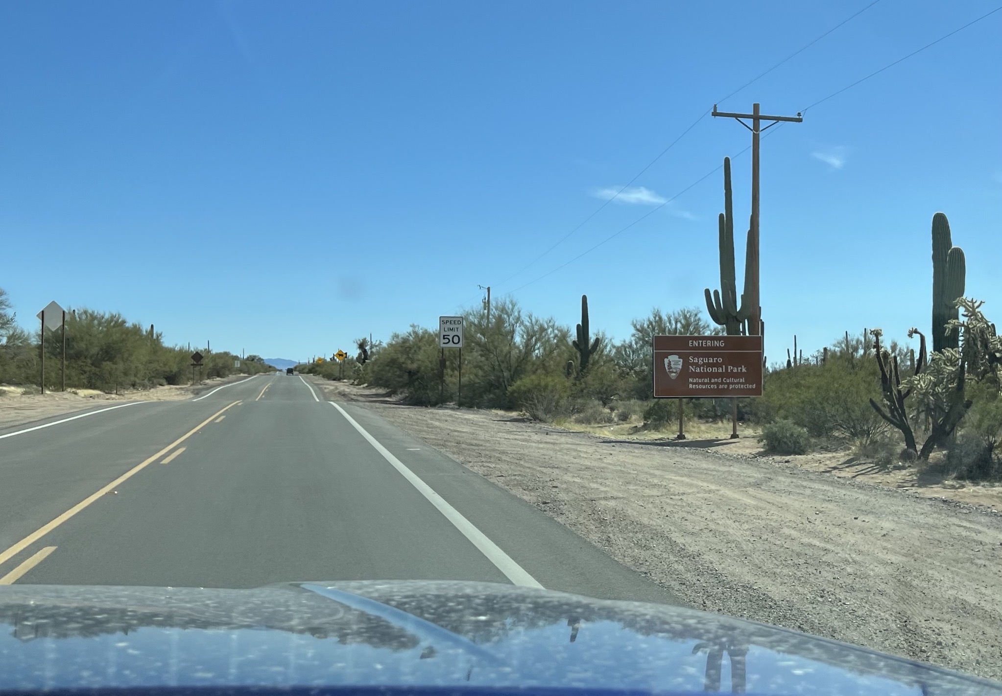 Saguaro National Park