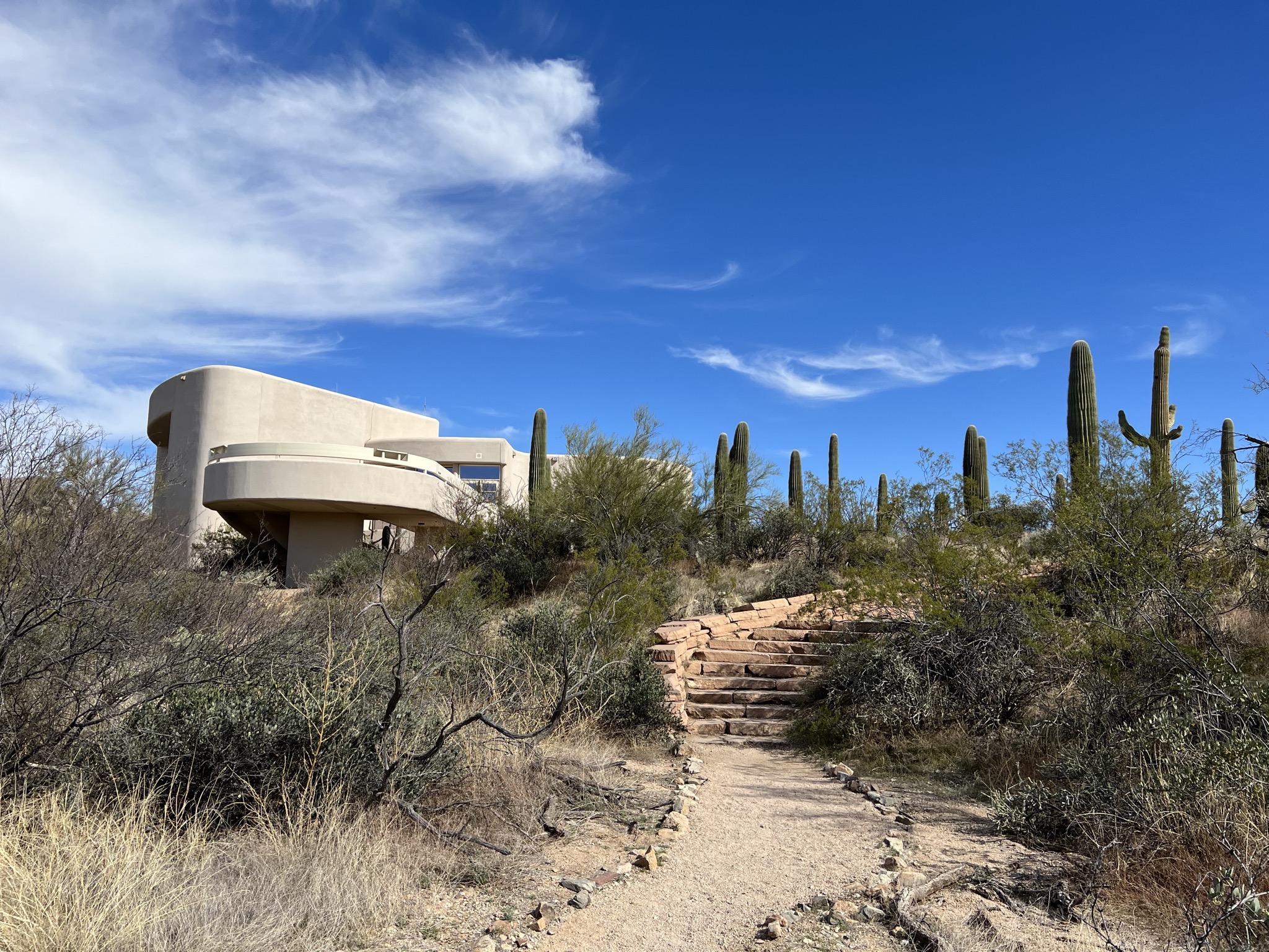Visitor center and cacti
