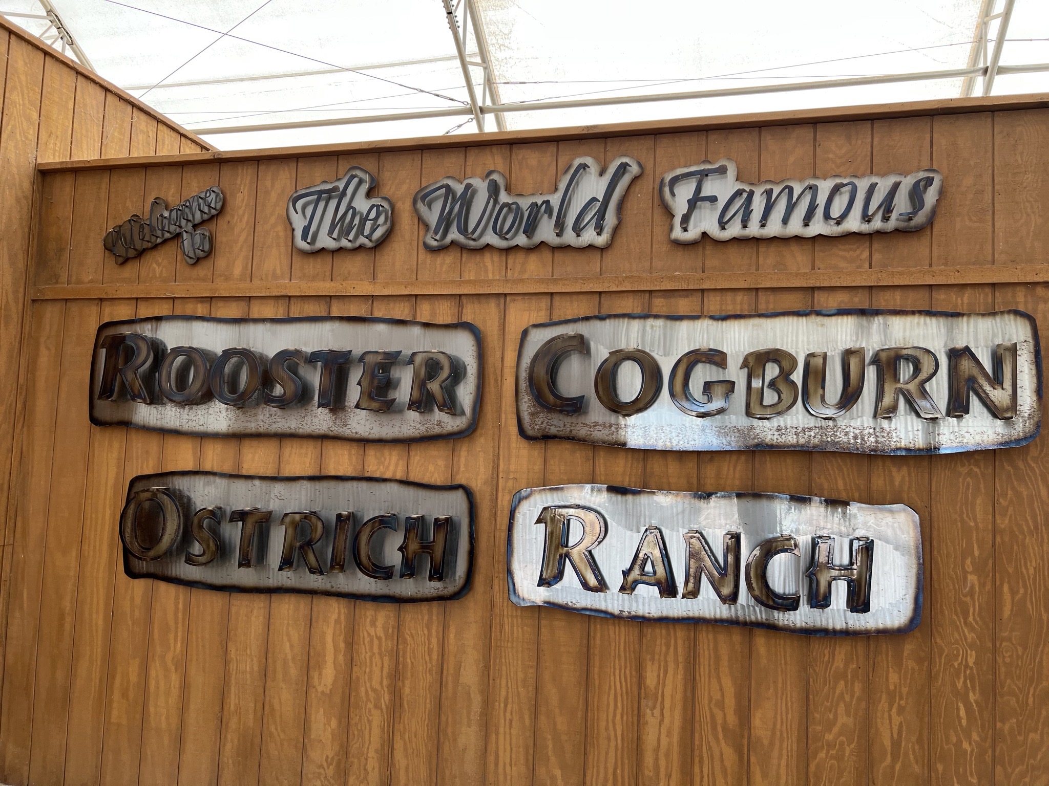 Rooster Cogburn Ostrich Ranch