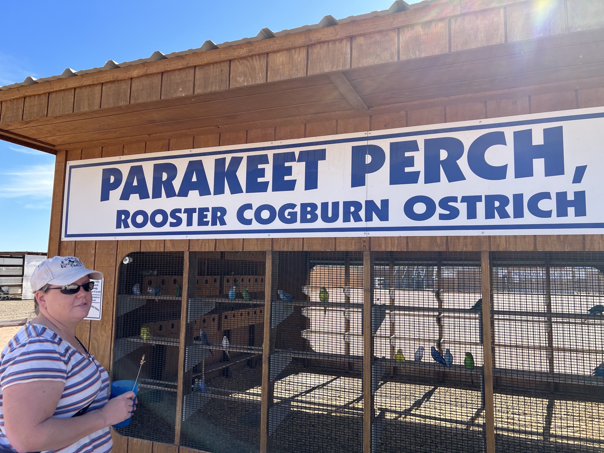 Parakeet perch