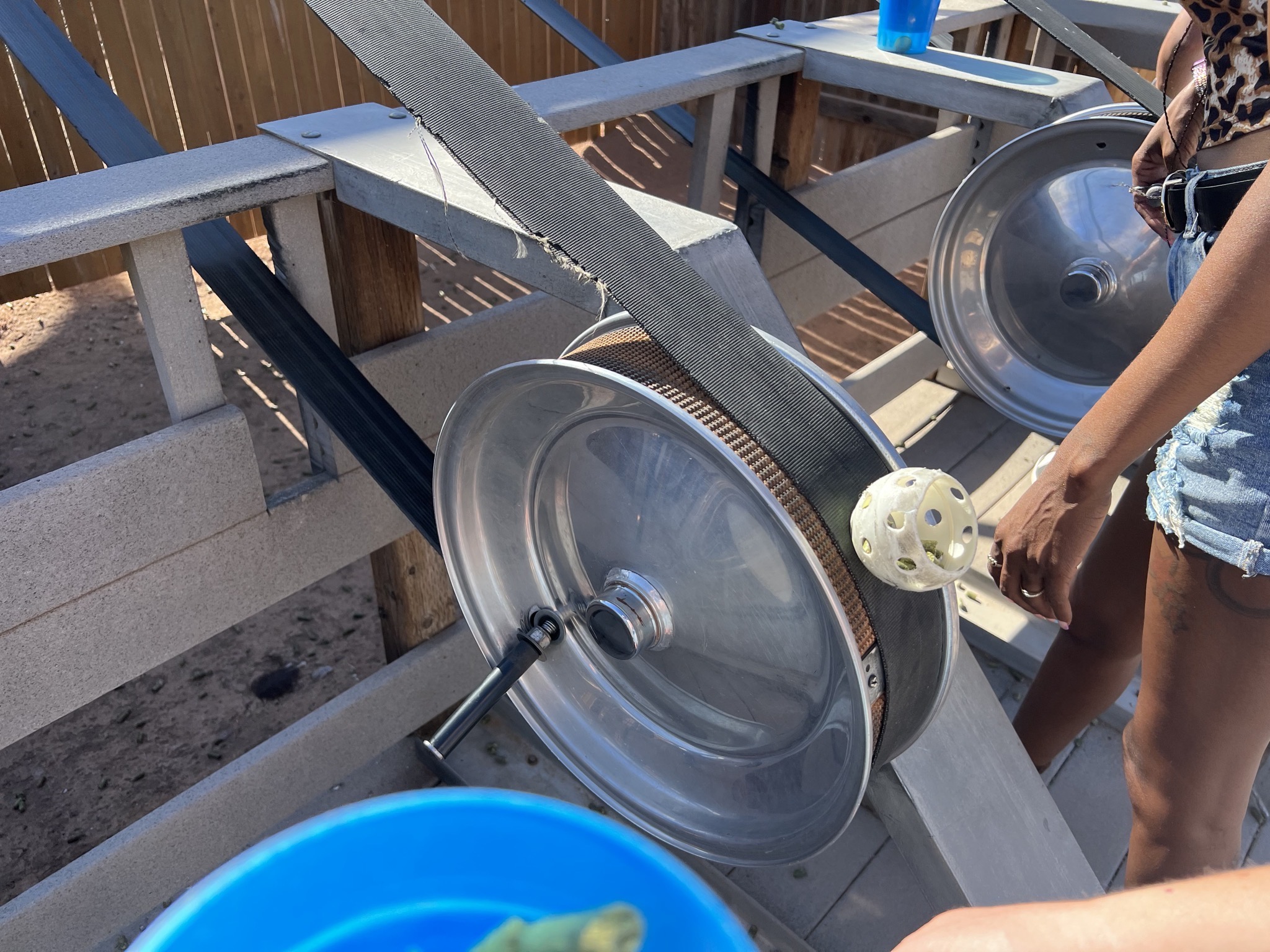 Goat penthouse conveyer