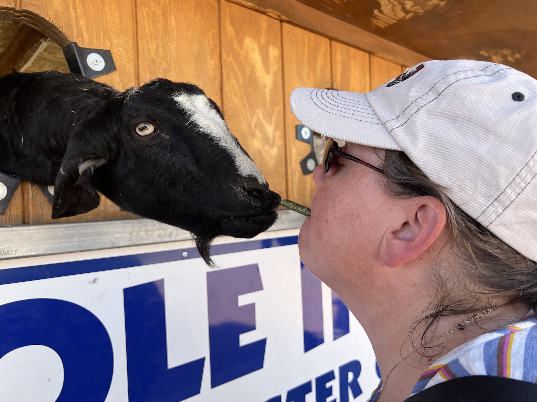 Jenn kissing a goat