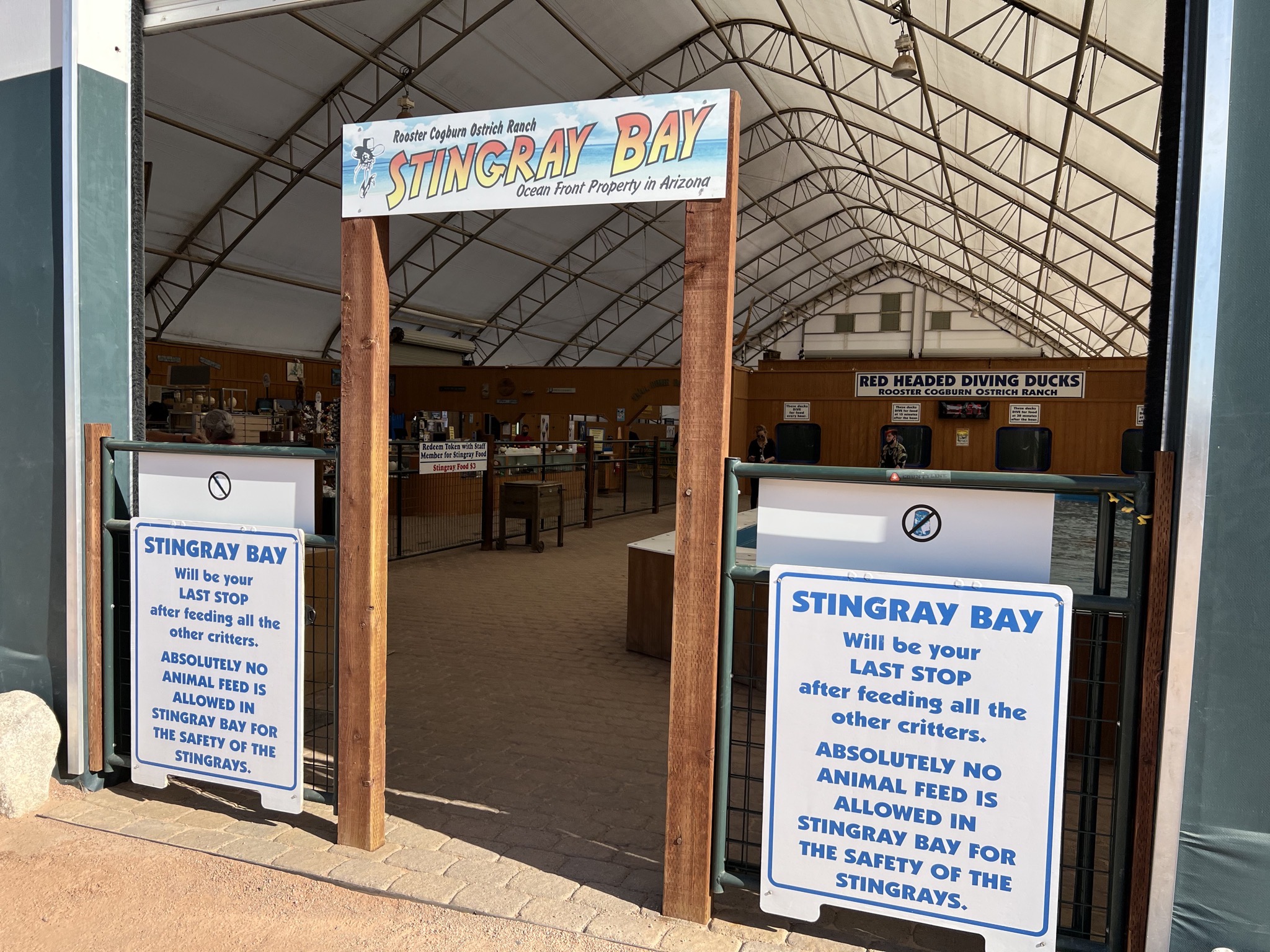 Stingrays