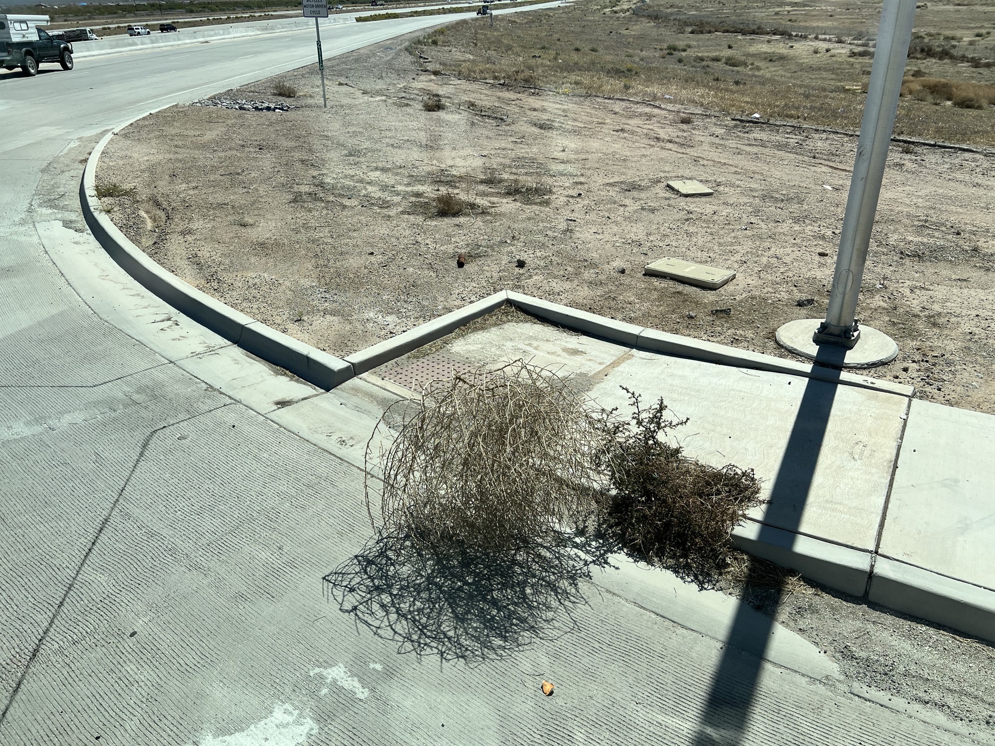 Tumbleweed