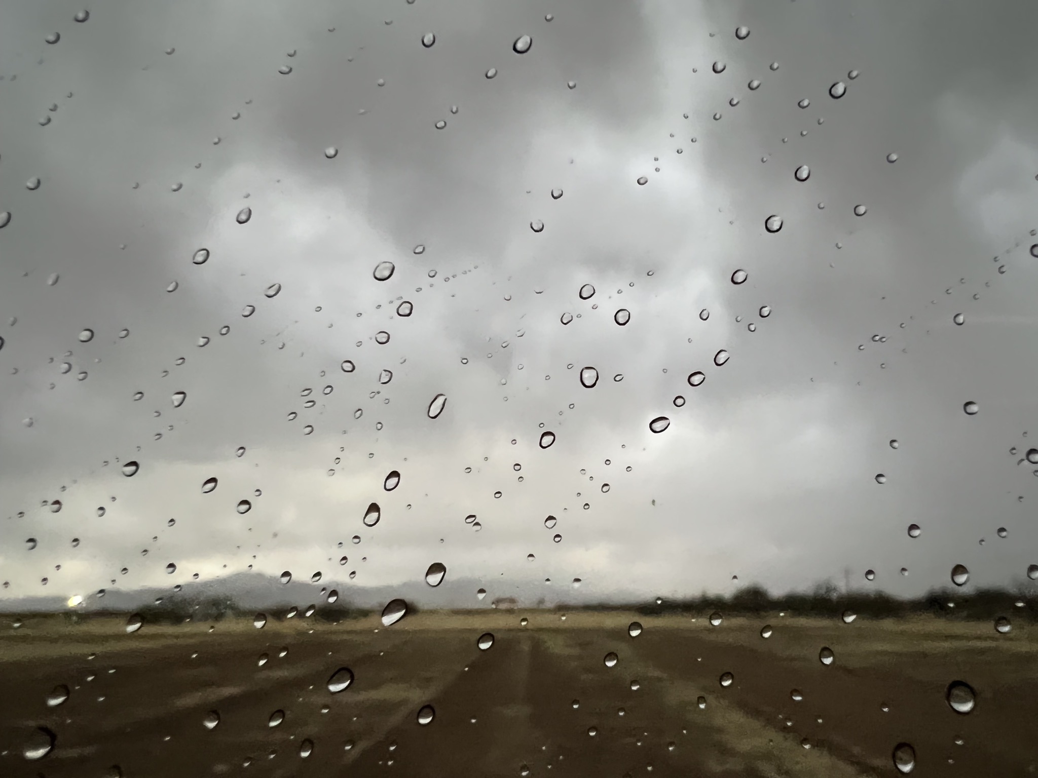 Rain