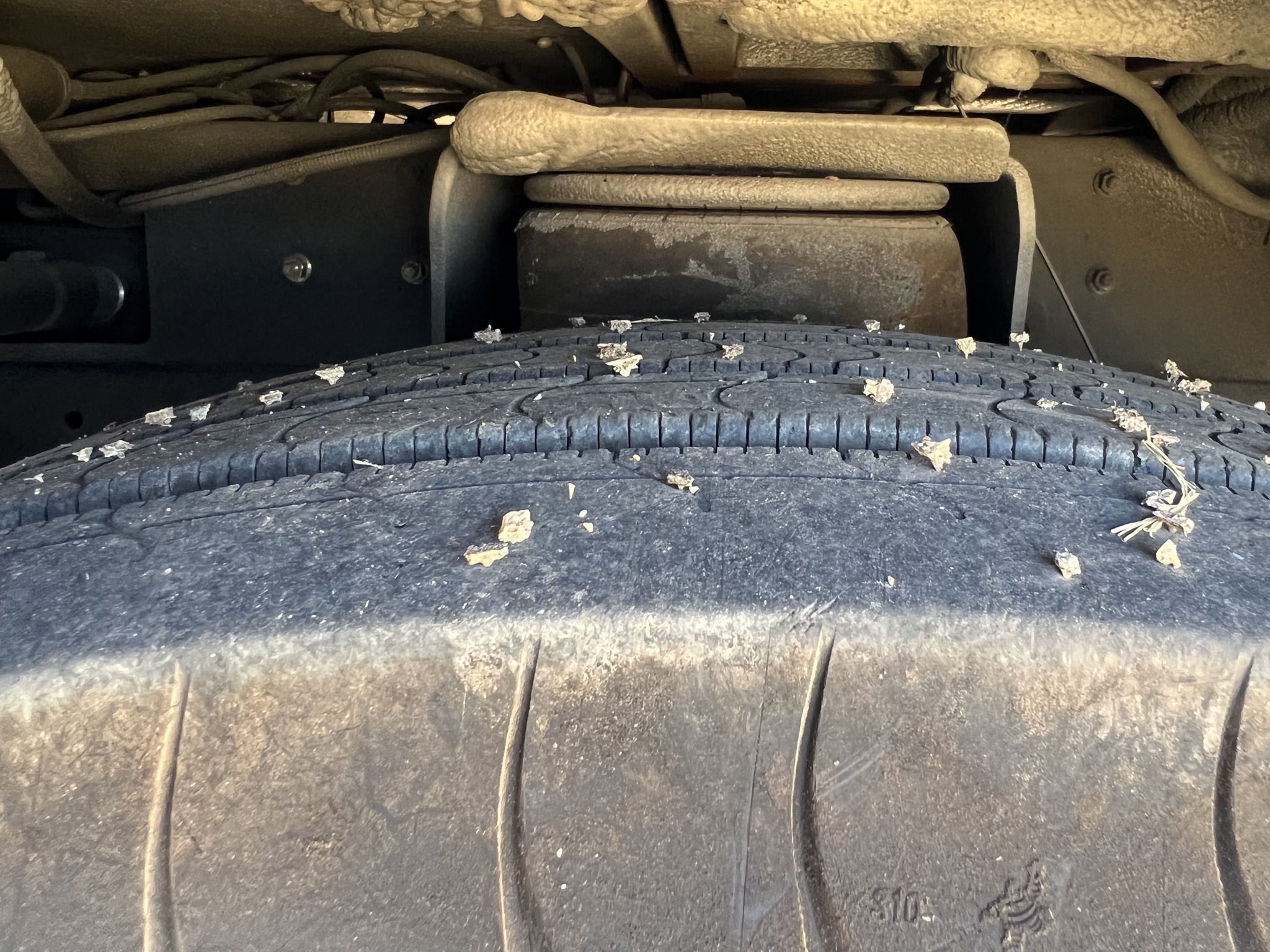 Goatheats in tire