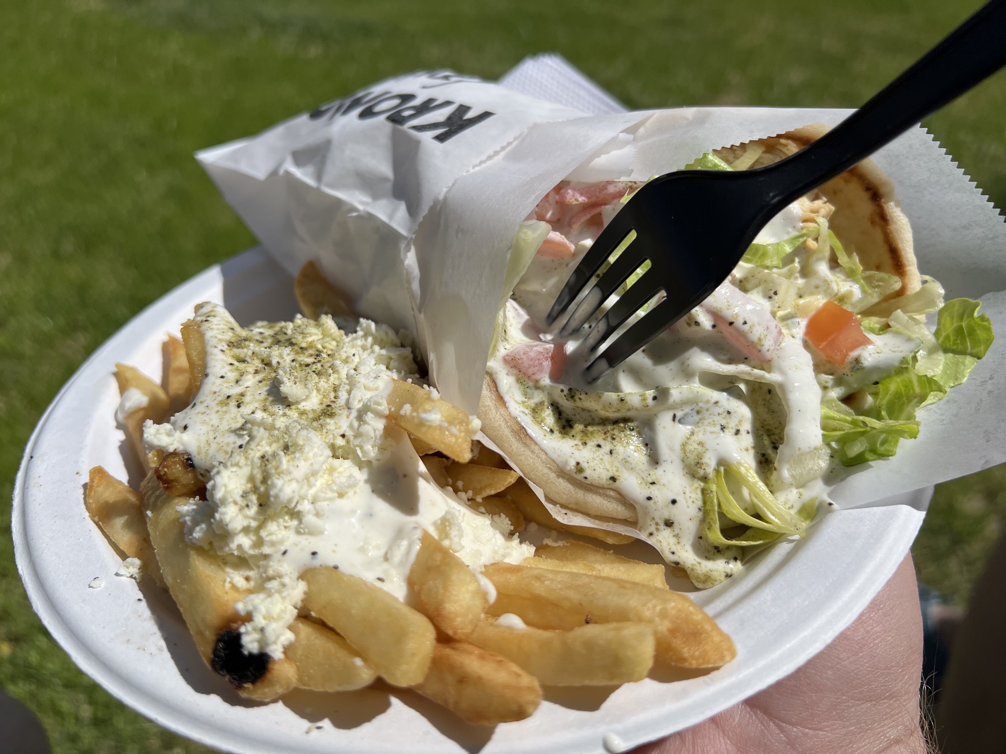 Gyro and Greek fries