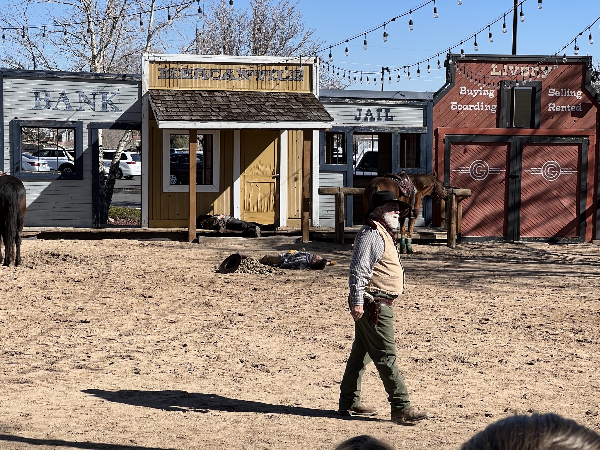Cowboy show