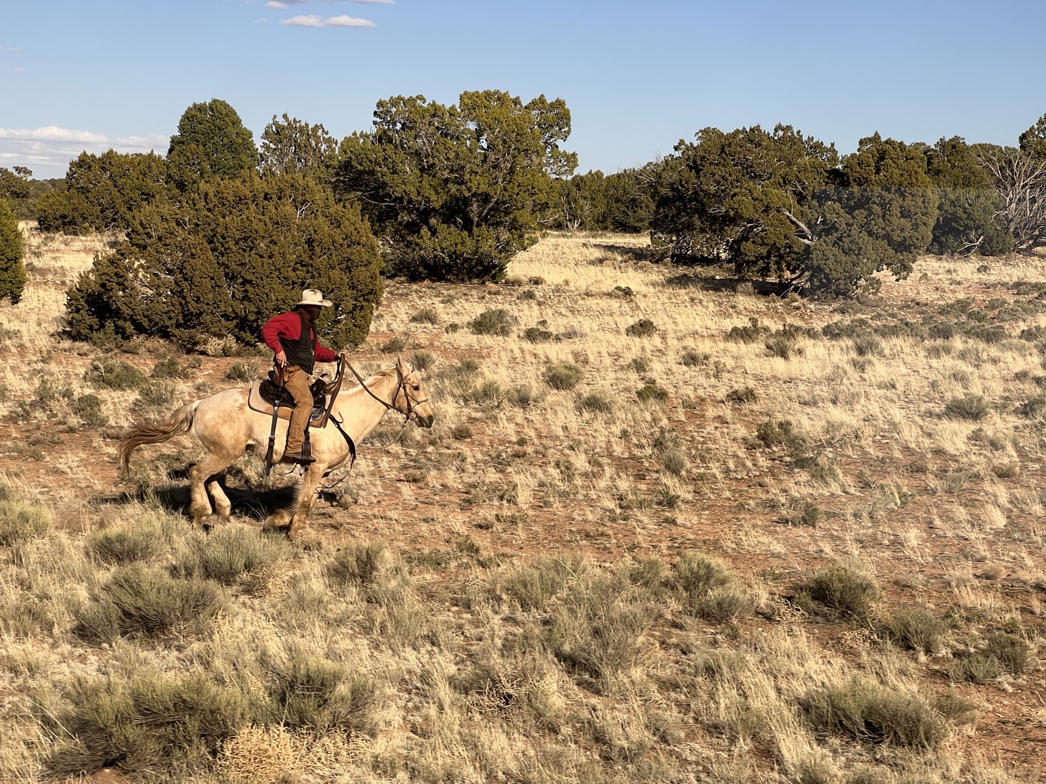 Cowboys