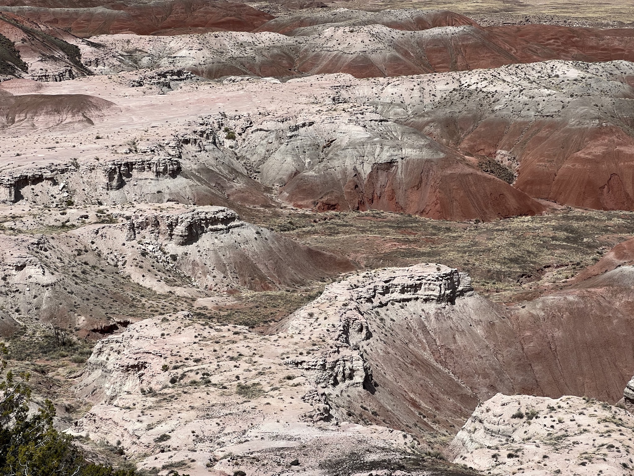 Painted hills