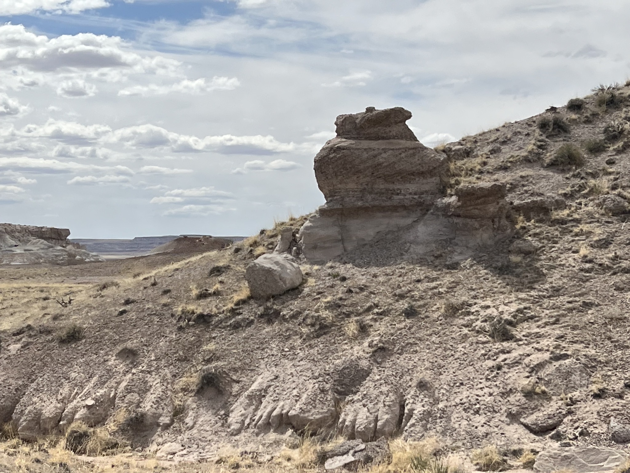 Rocks