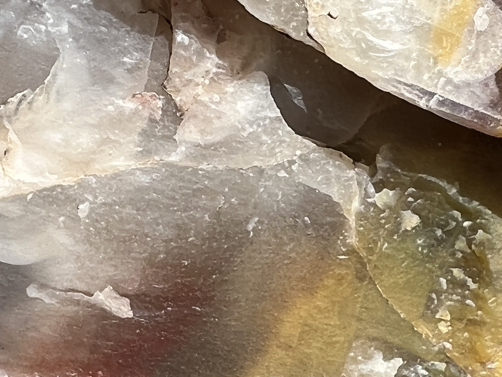 Petrified log