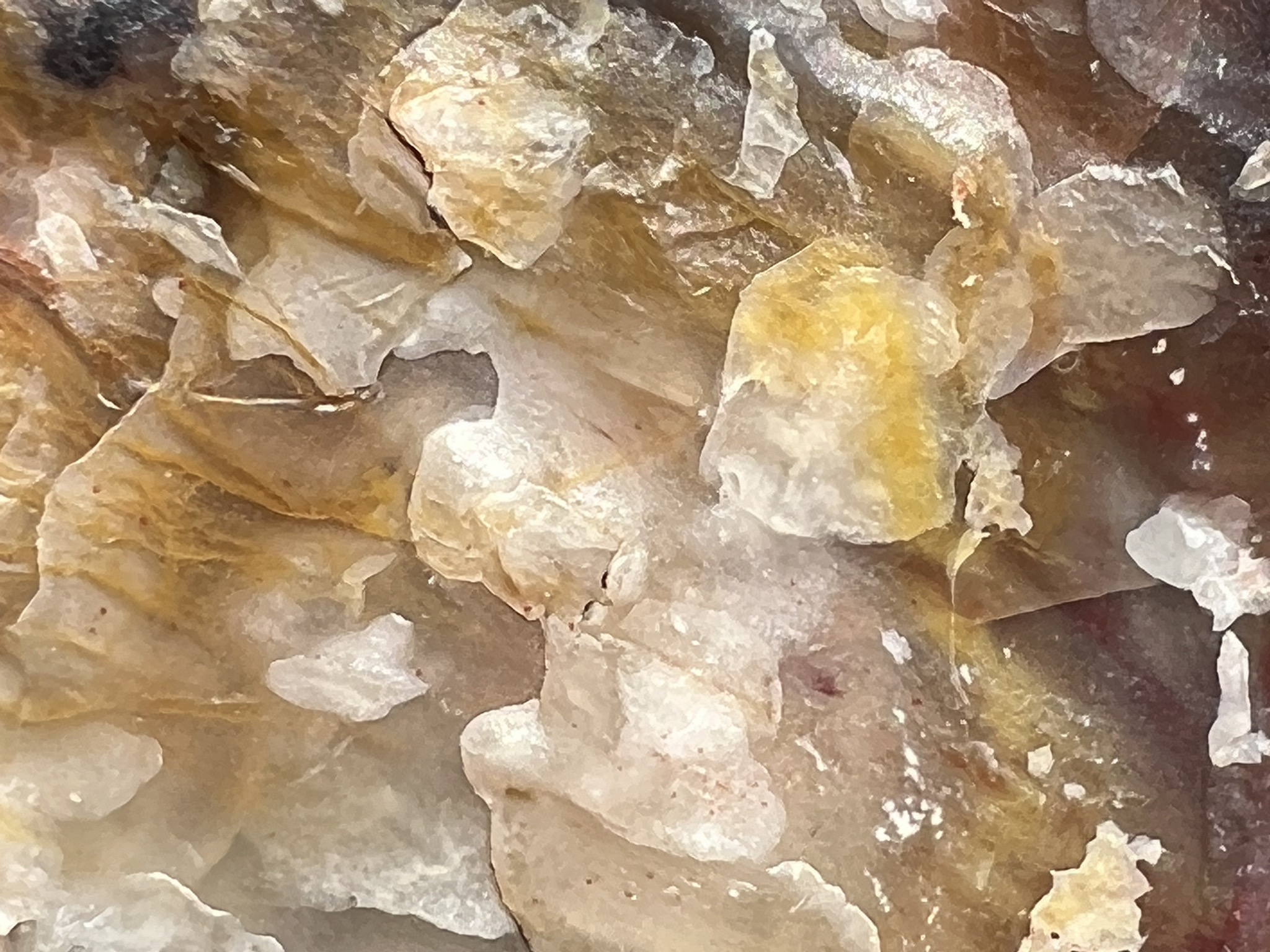 Petrified log
