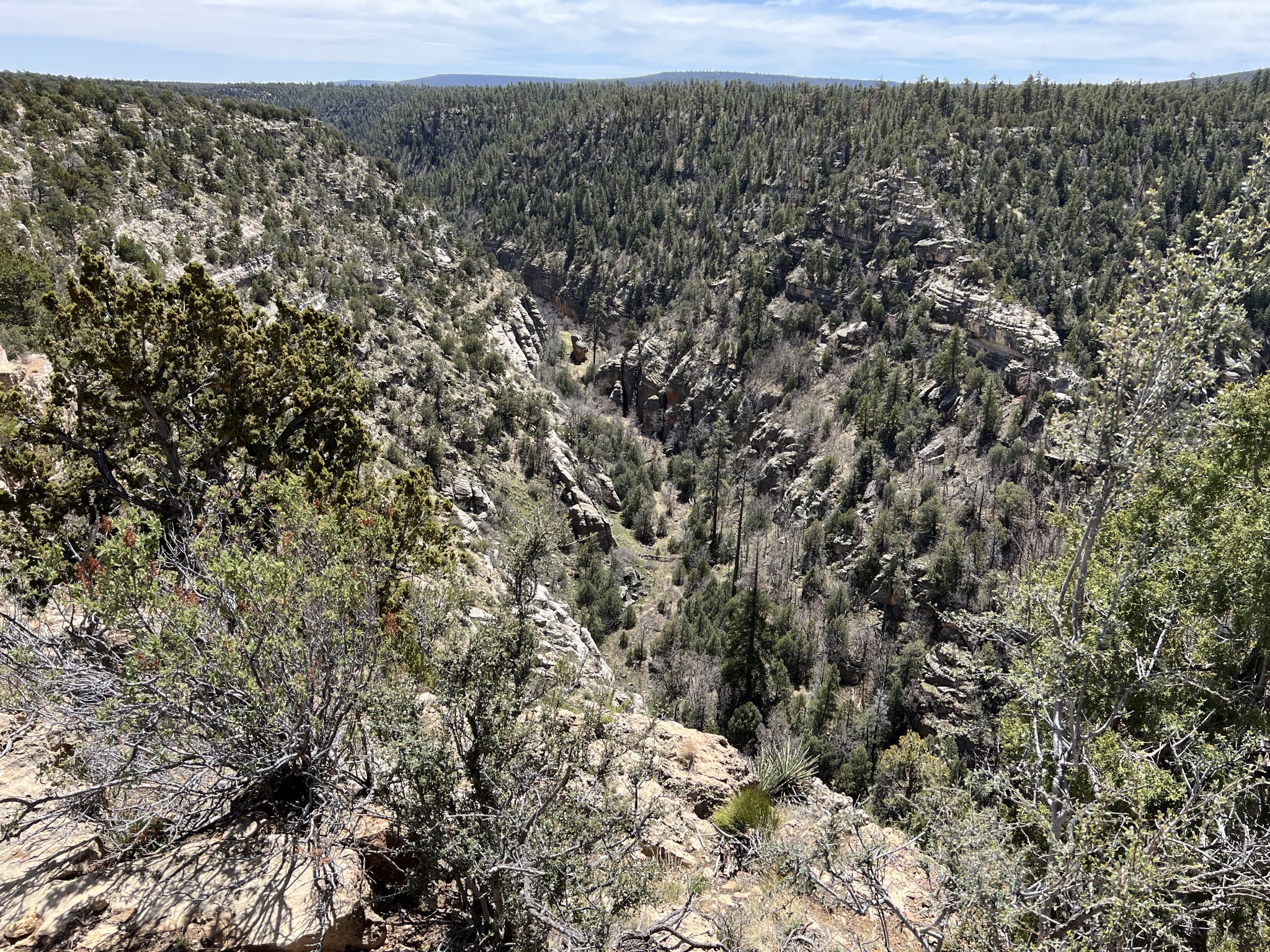 Walnut Canyon
