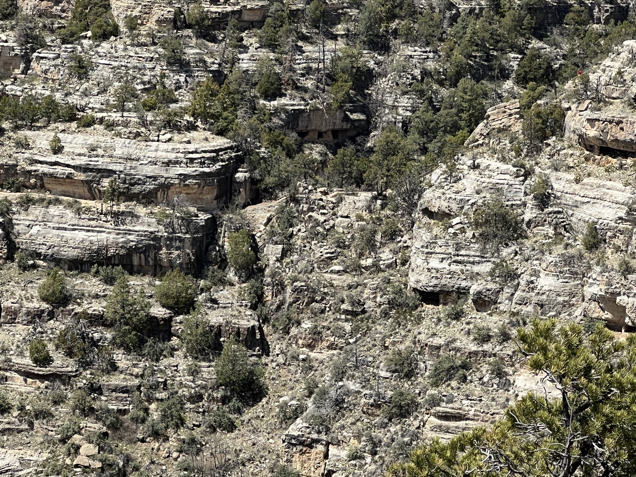Walnut Canyon