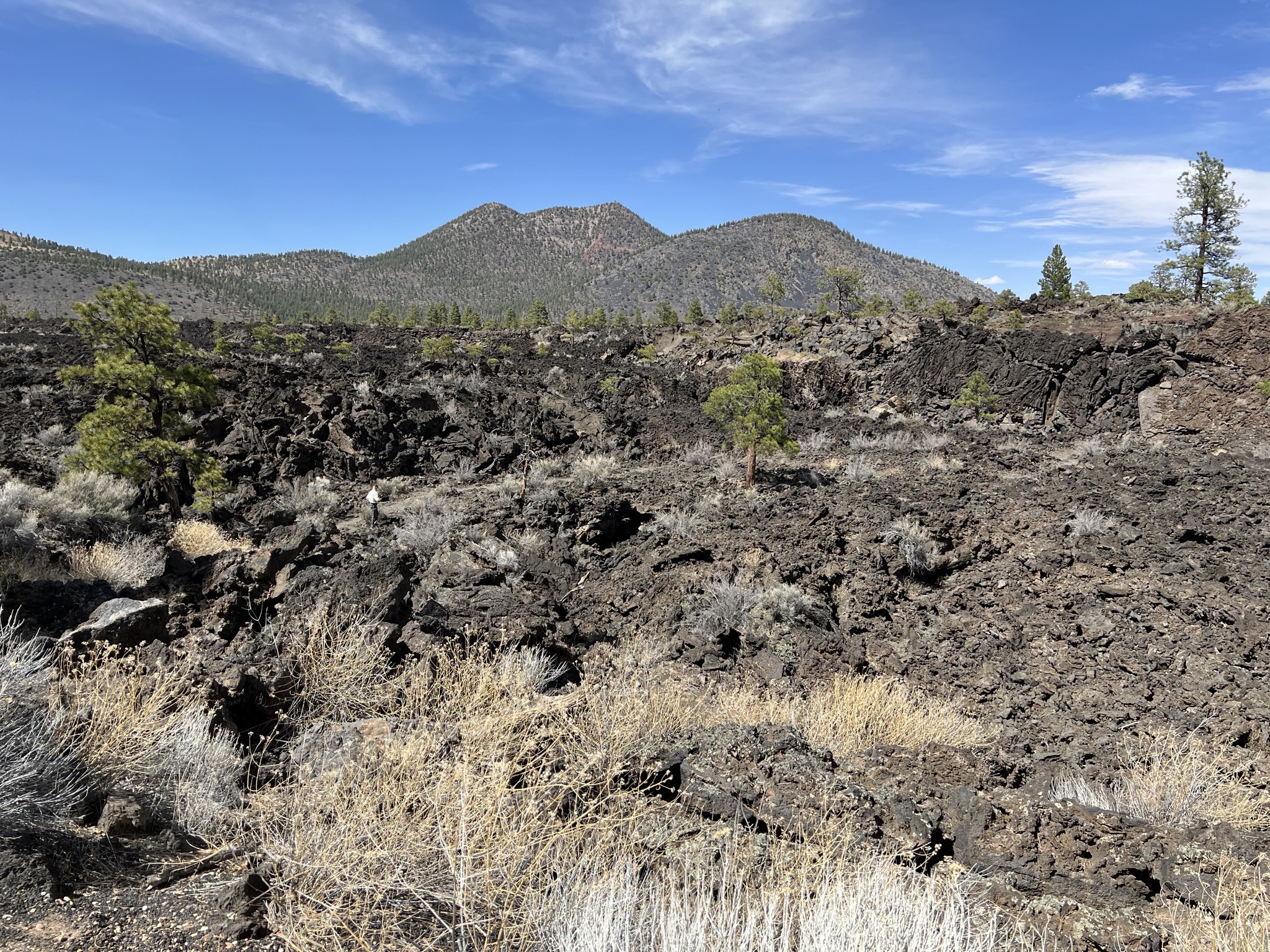 Lava field