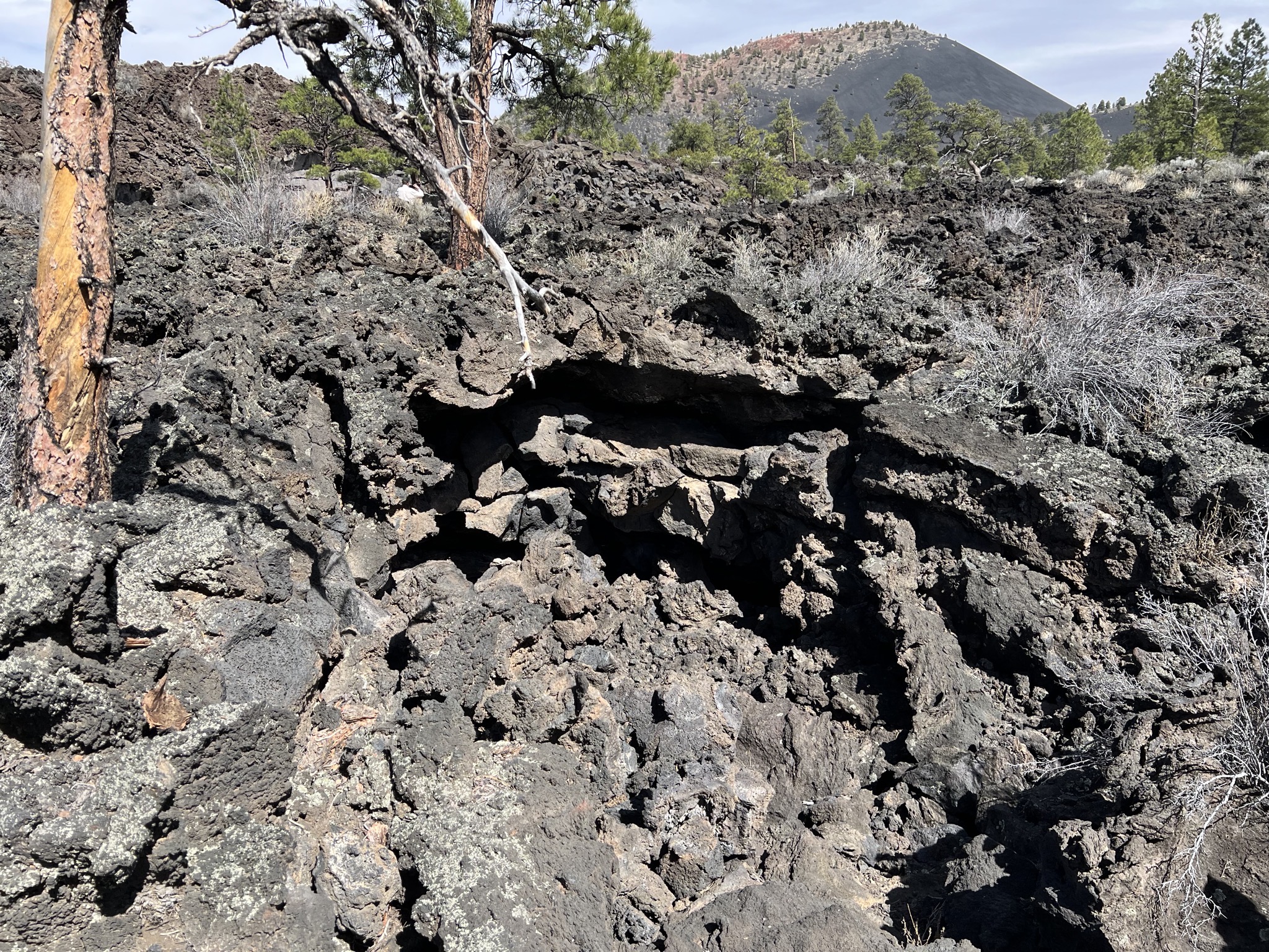 Lava field