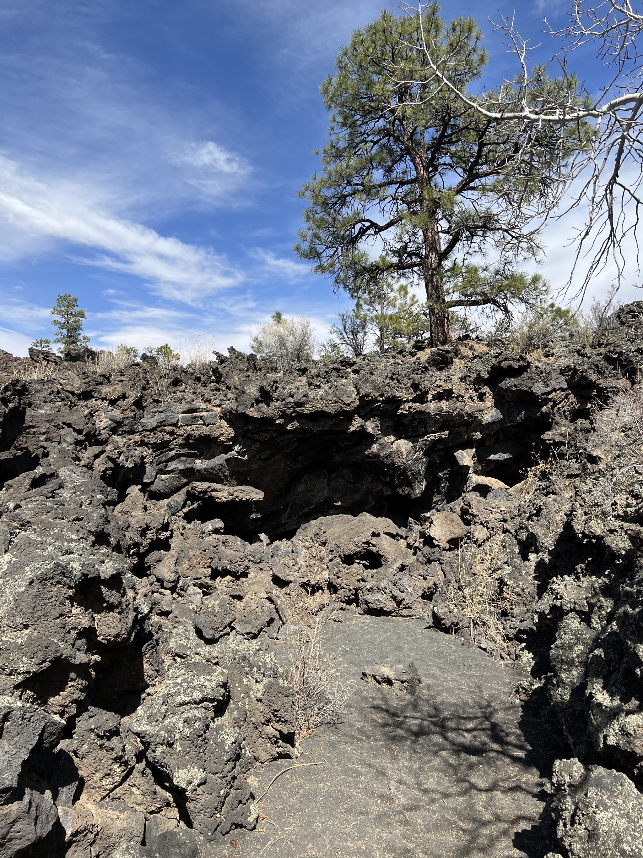 Lava field