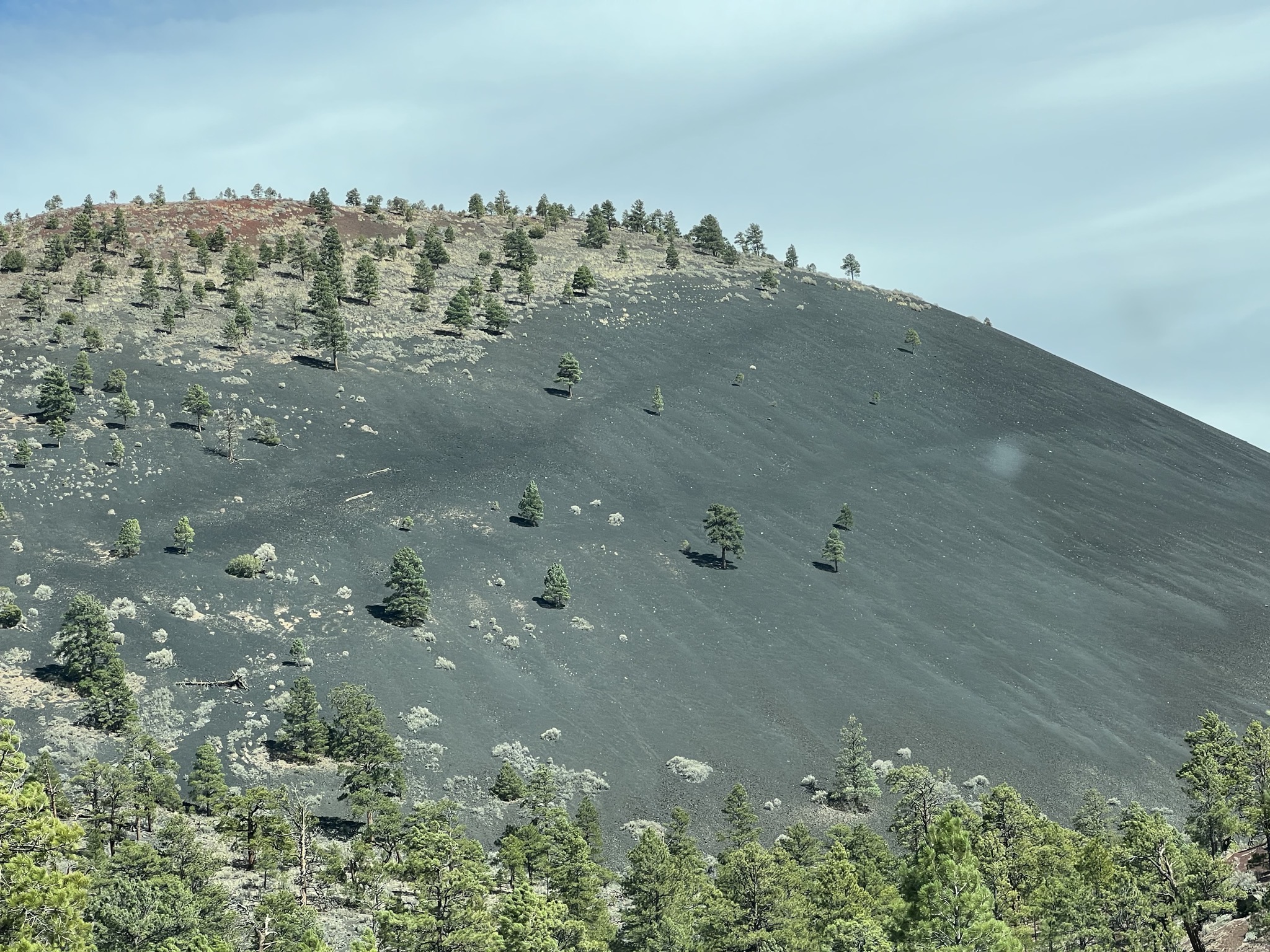 Lava field