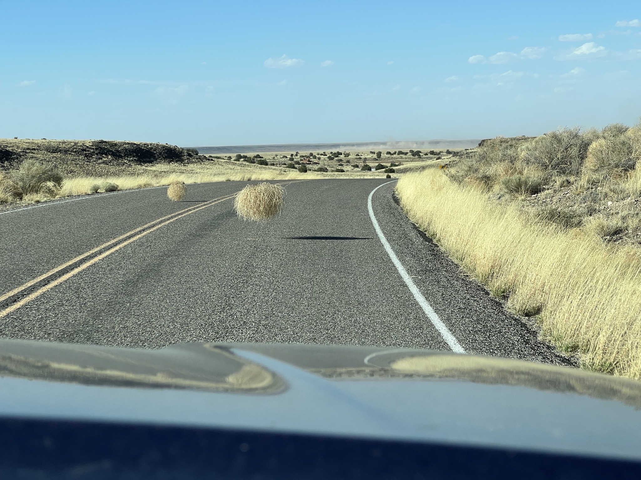 Tumbleweeds