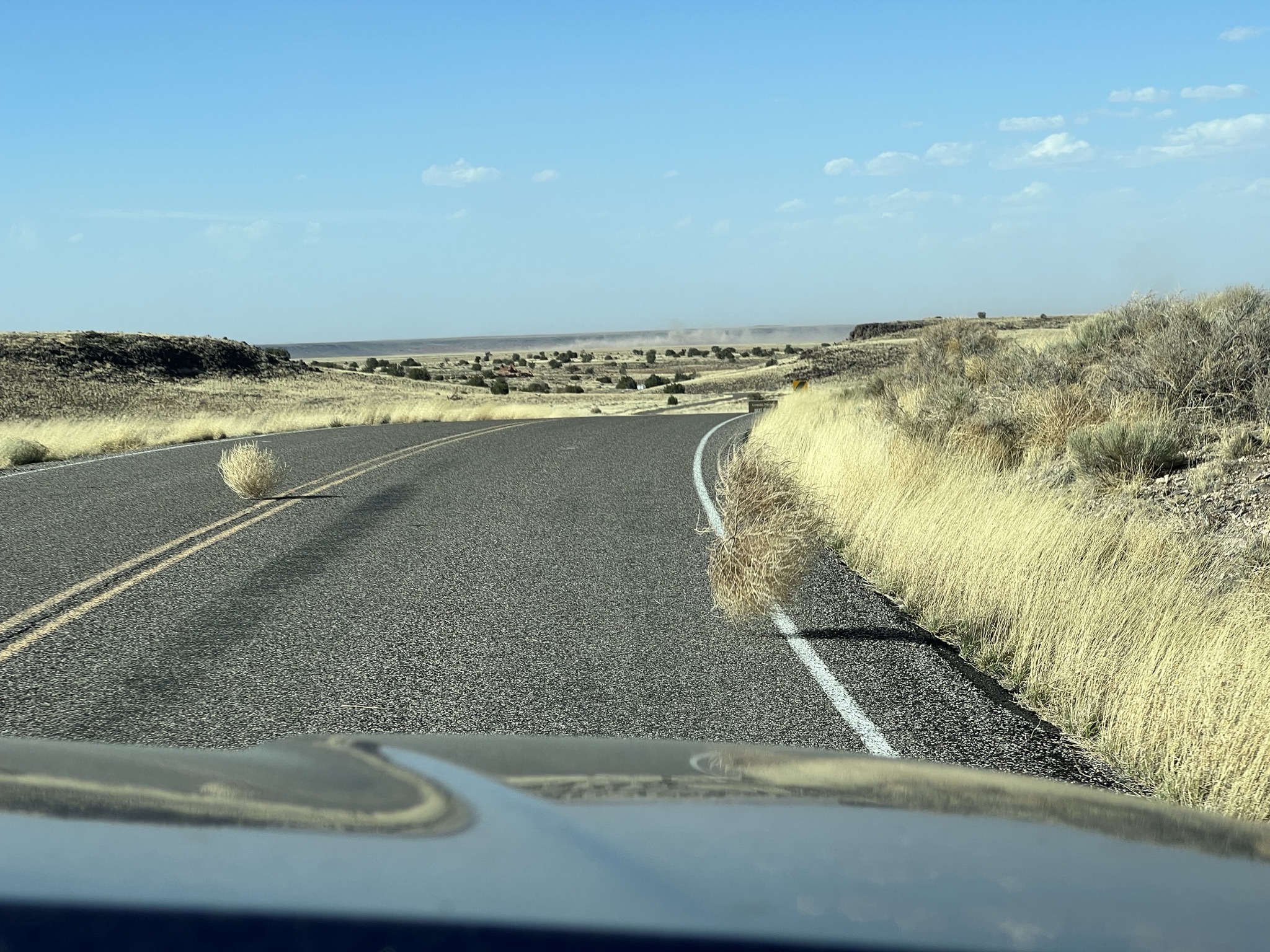 Tumbleweeds