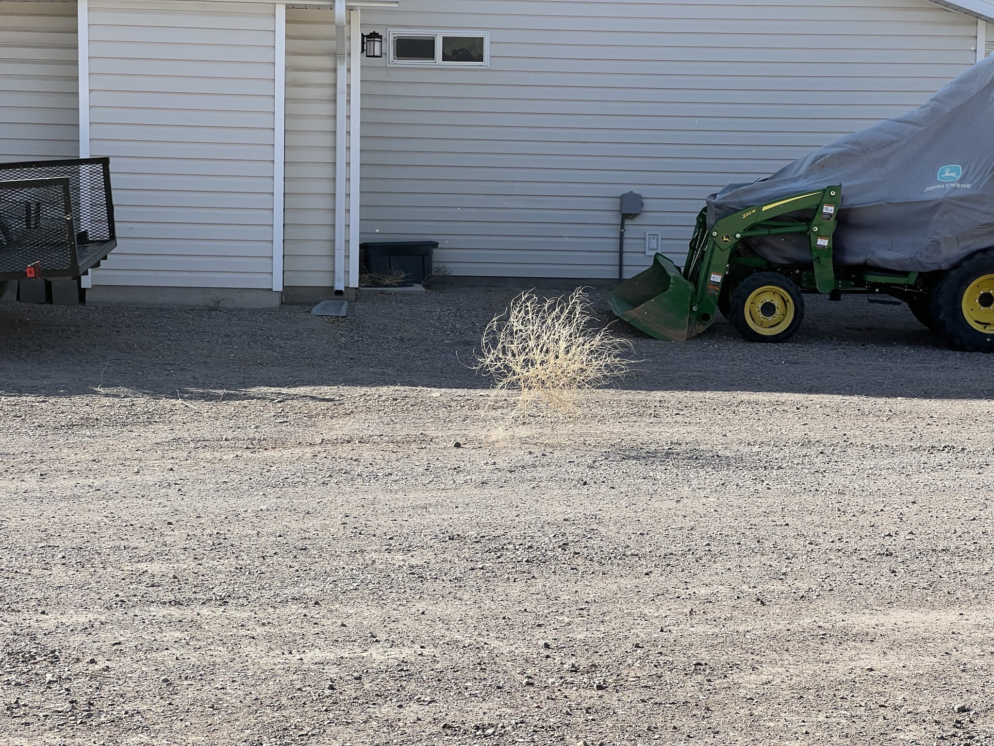 Tumbleweed