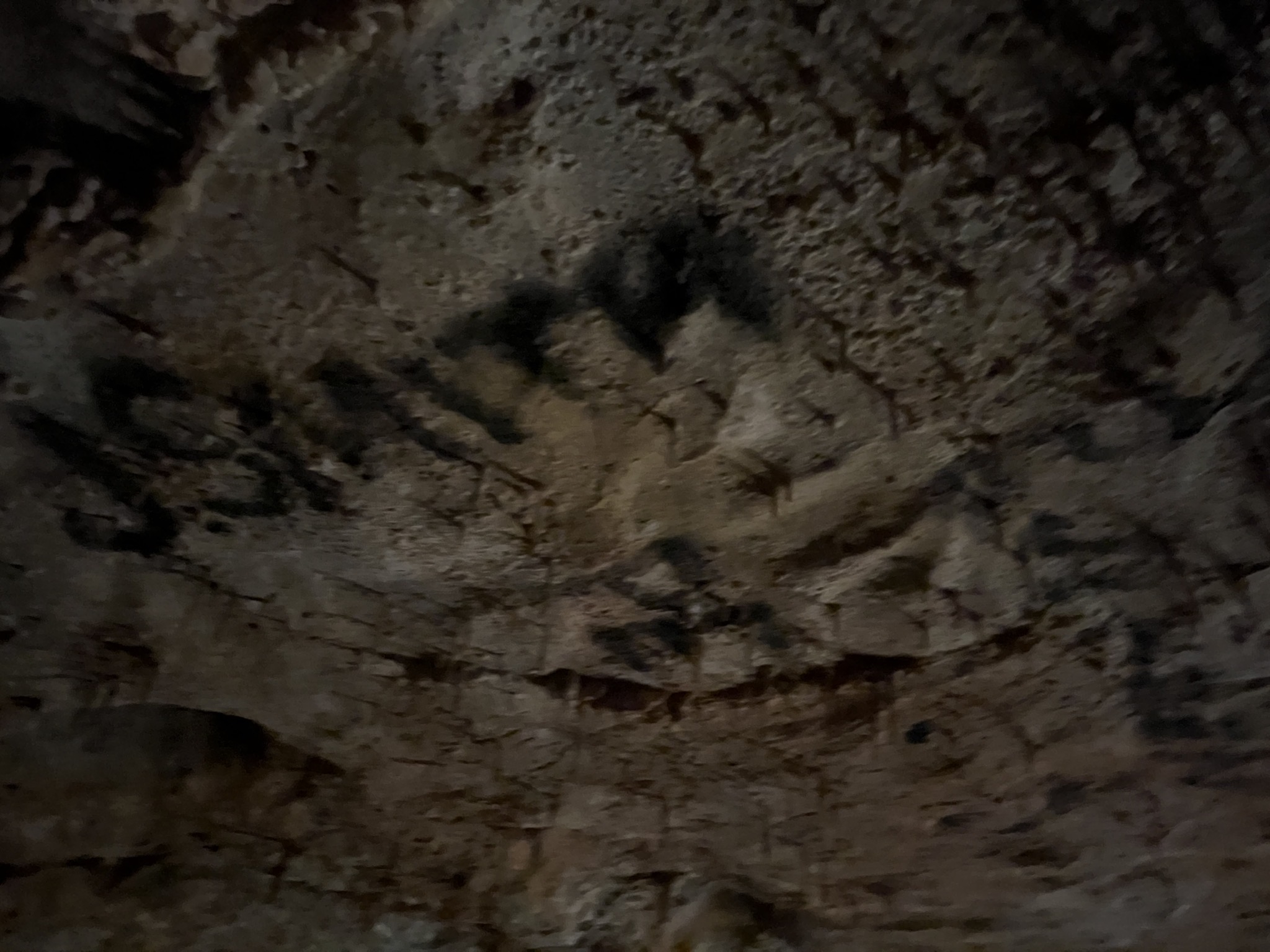Cave