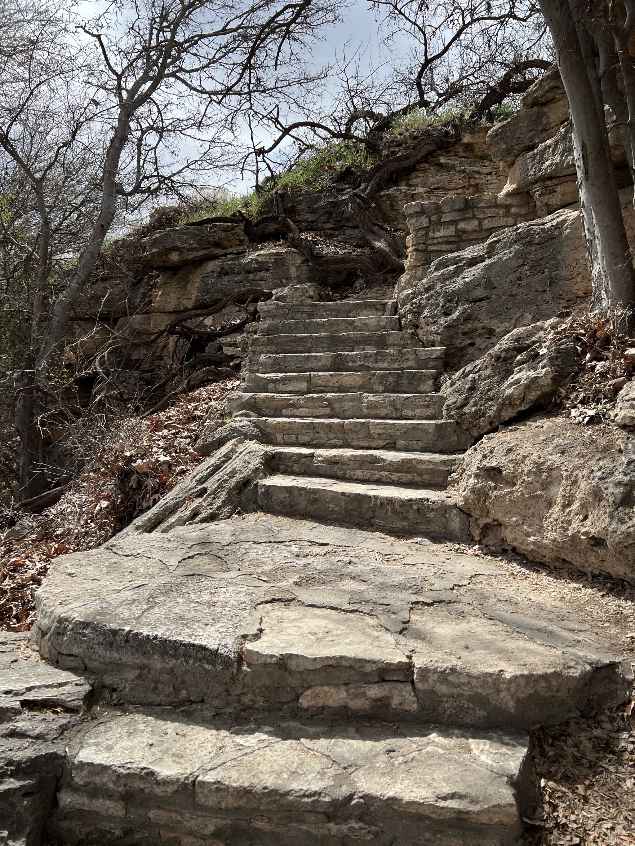 Steps