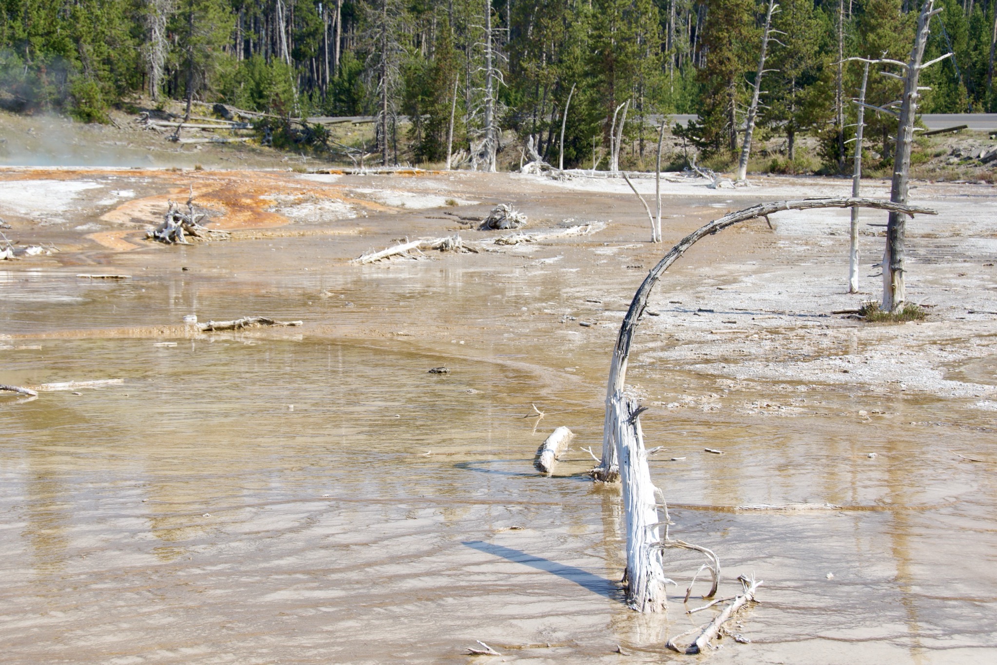Yellowstone