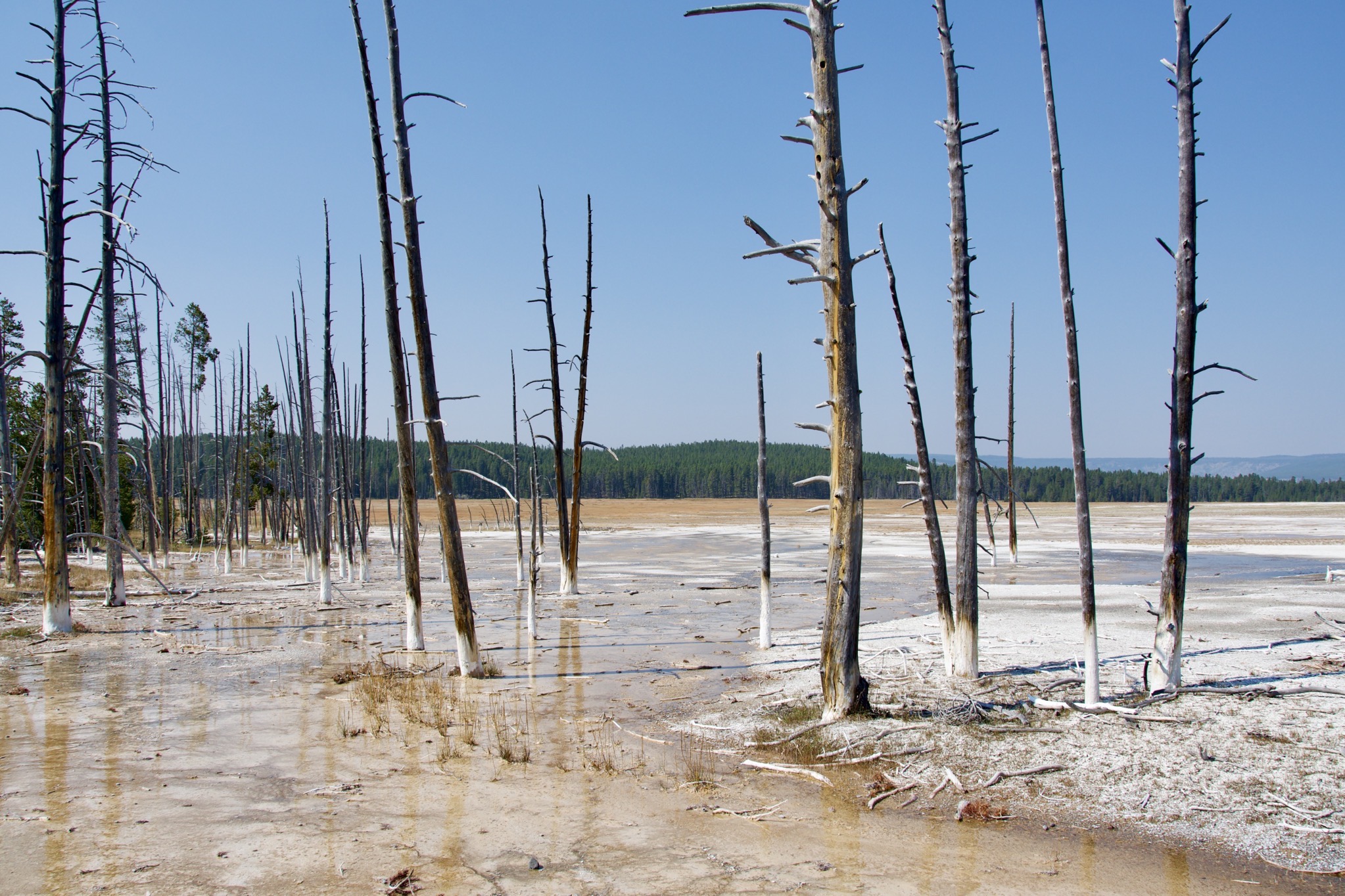 Yellowstone