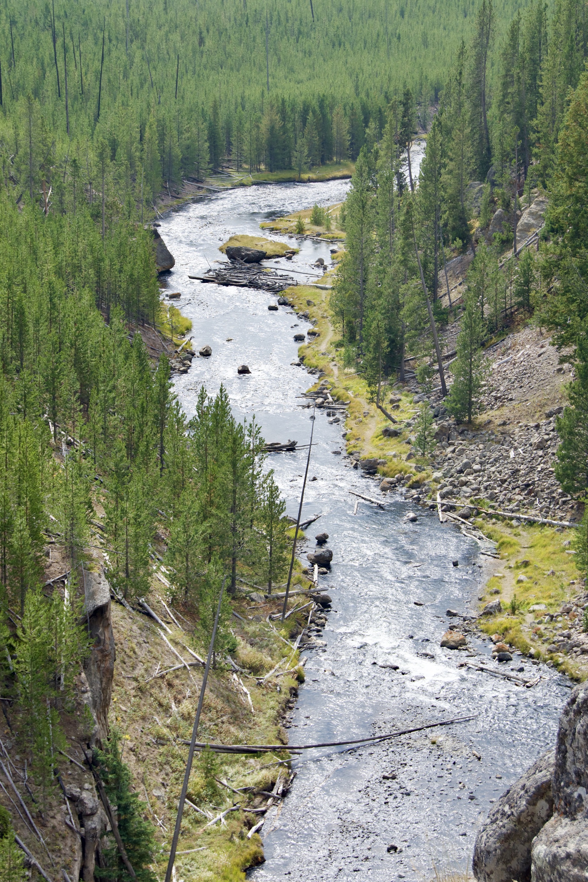 Yellowstone