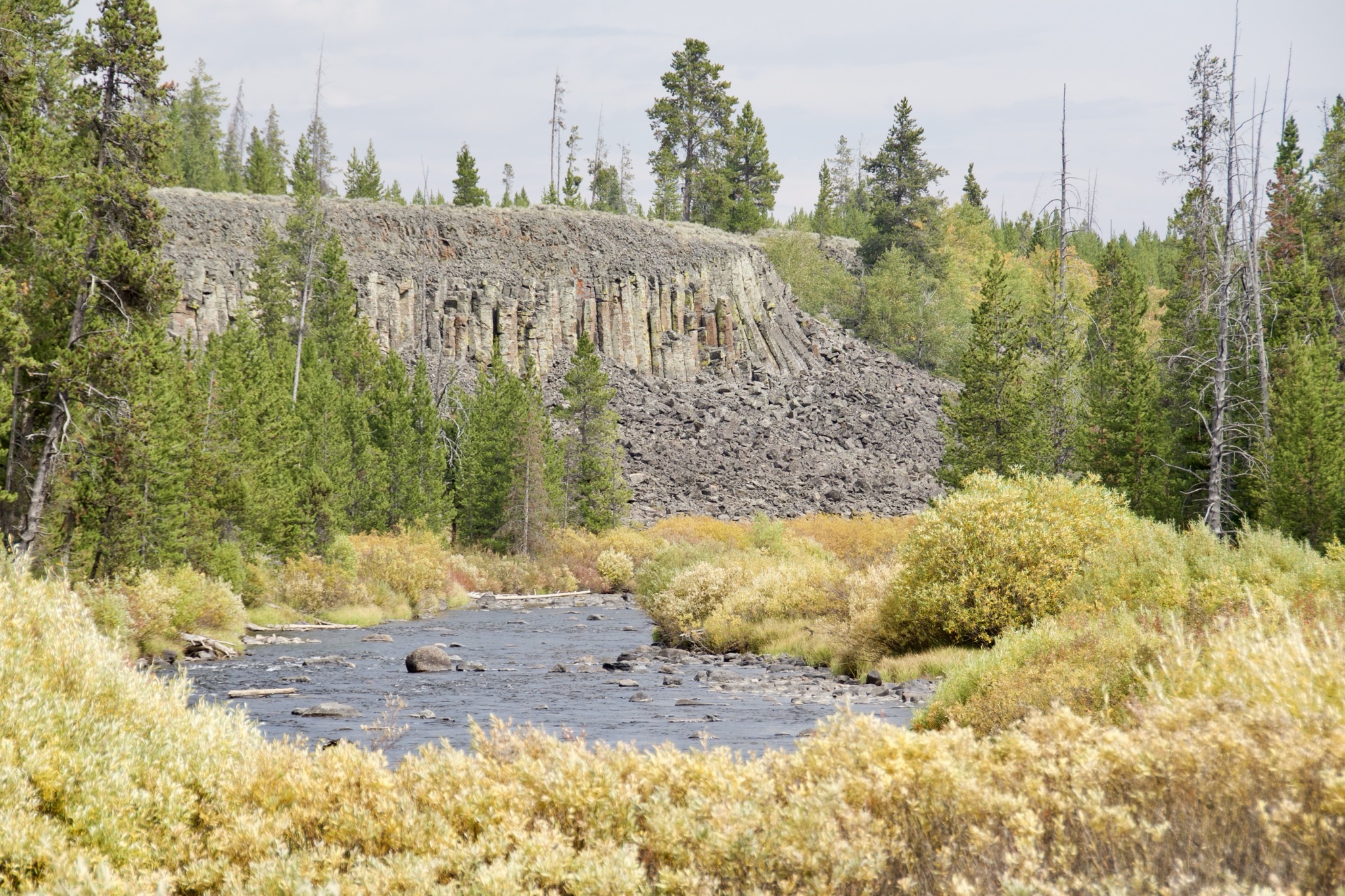 Yellowstone