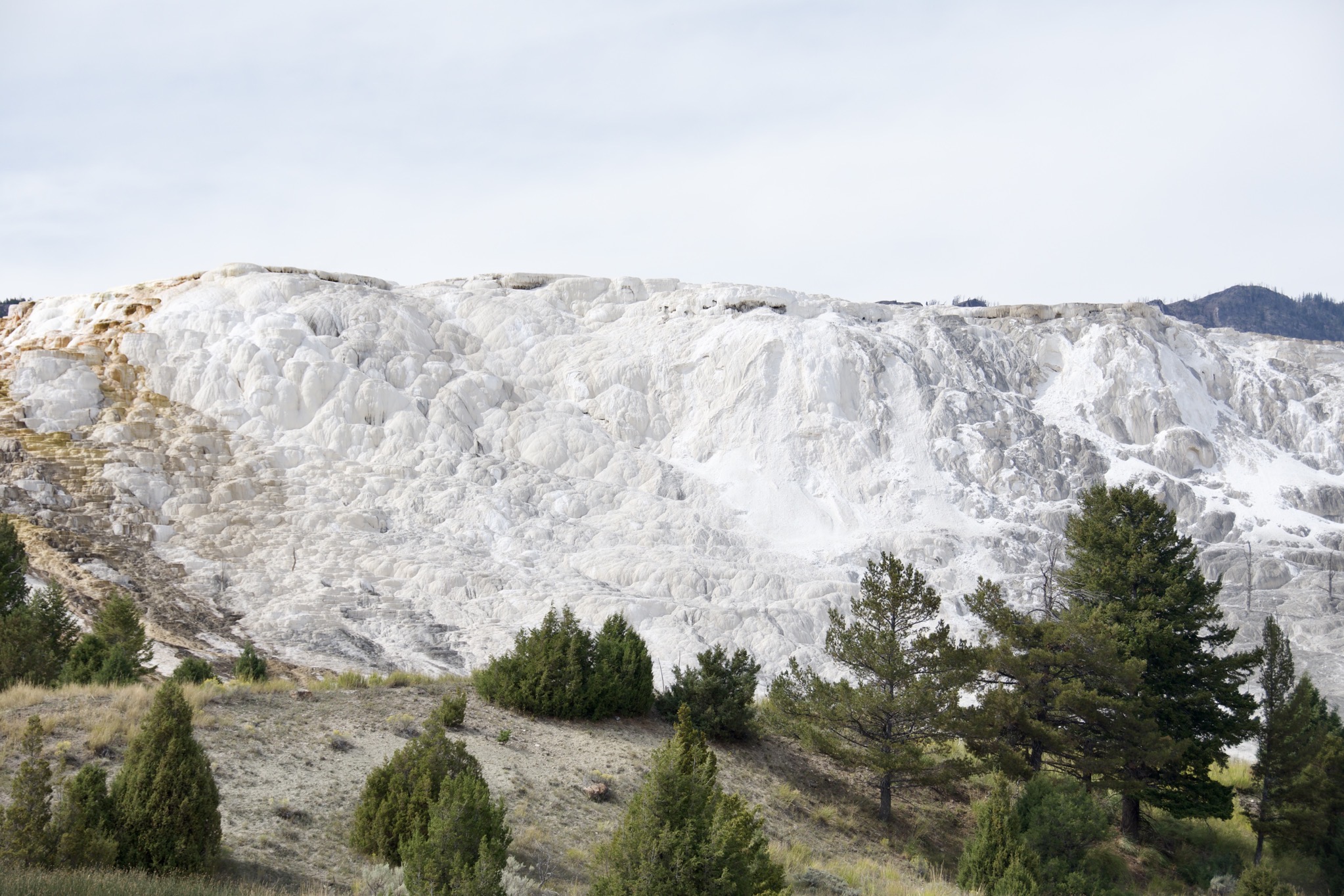 Yellowstone