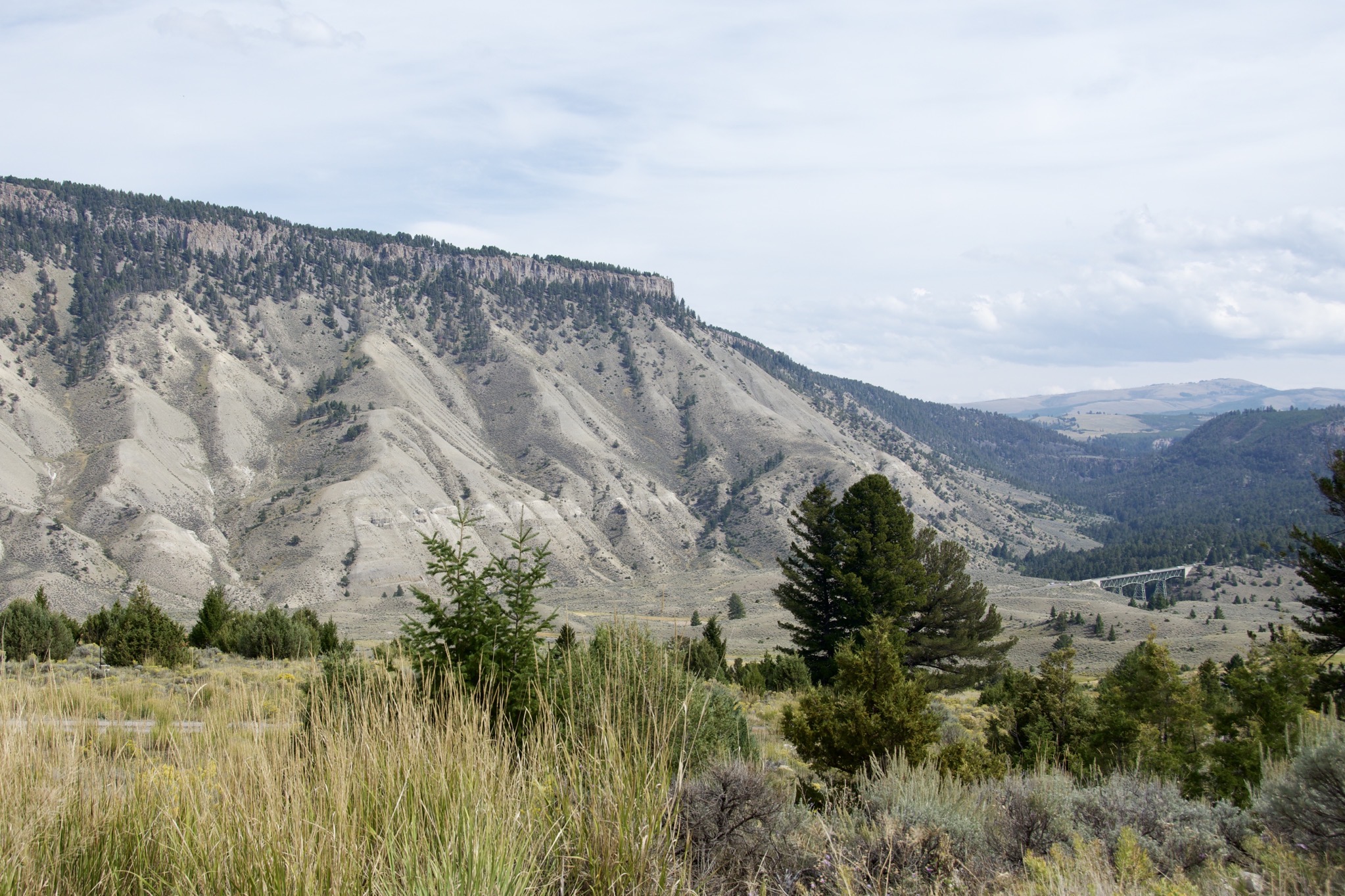 Yellowstone
