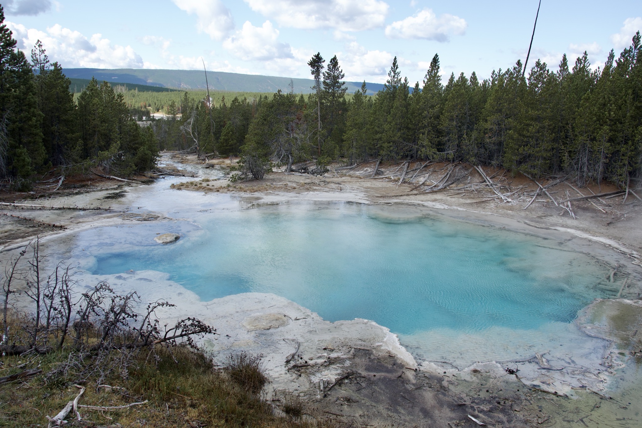 Yellowstone